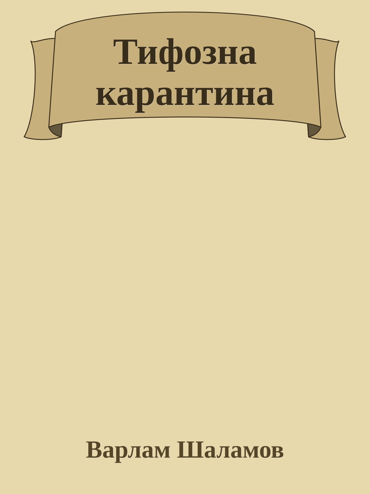 Тифозна карантина