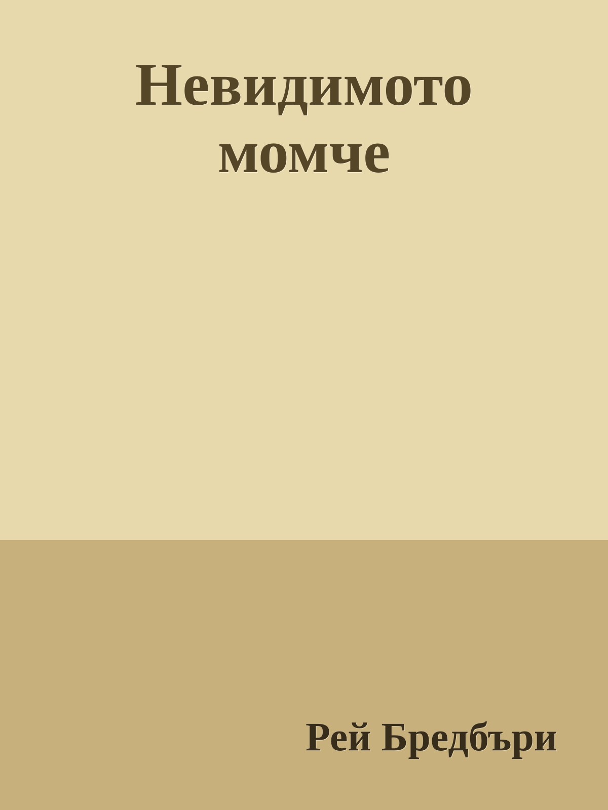 Невидимото момче