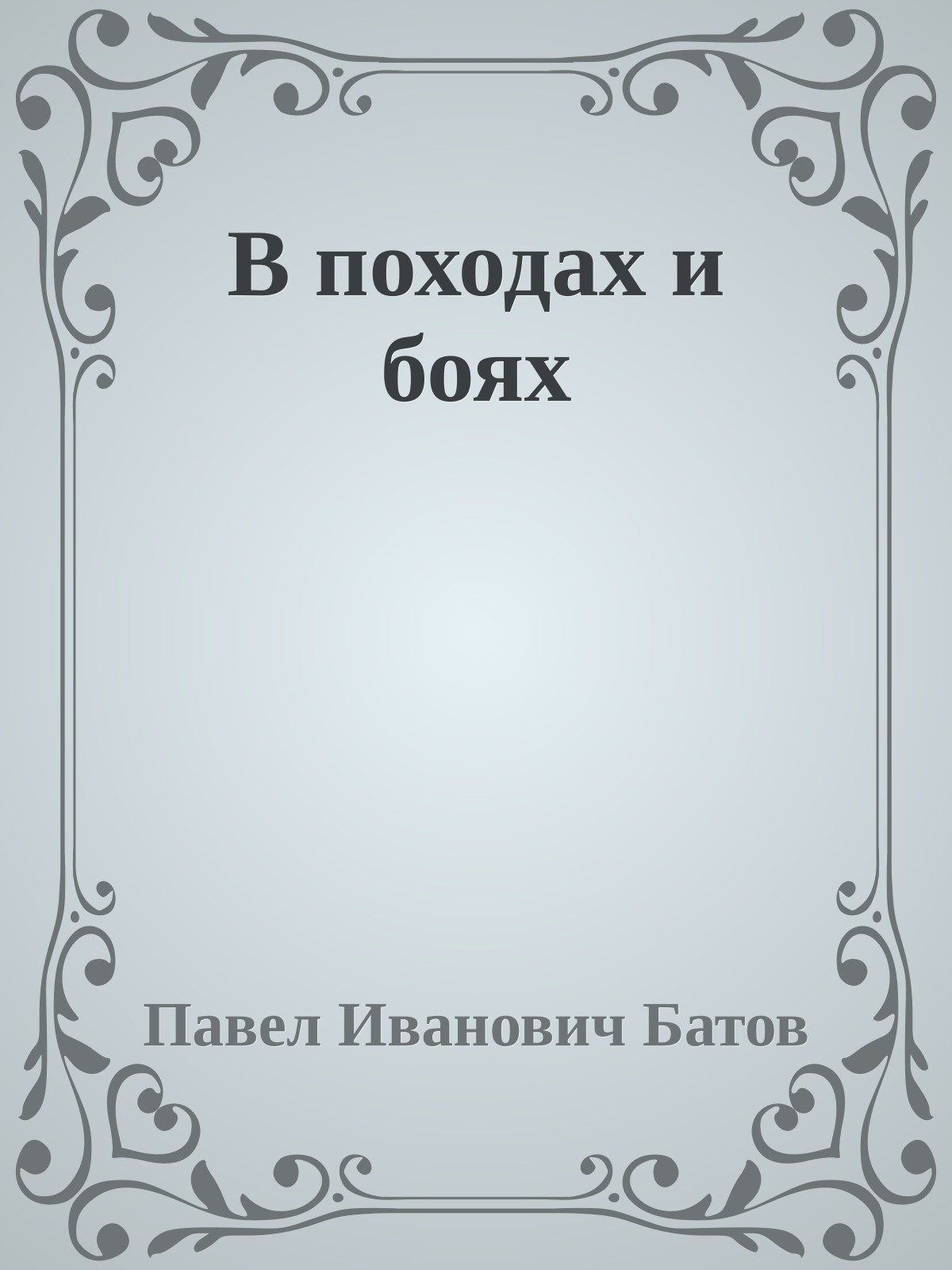 В походах и боях