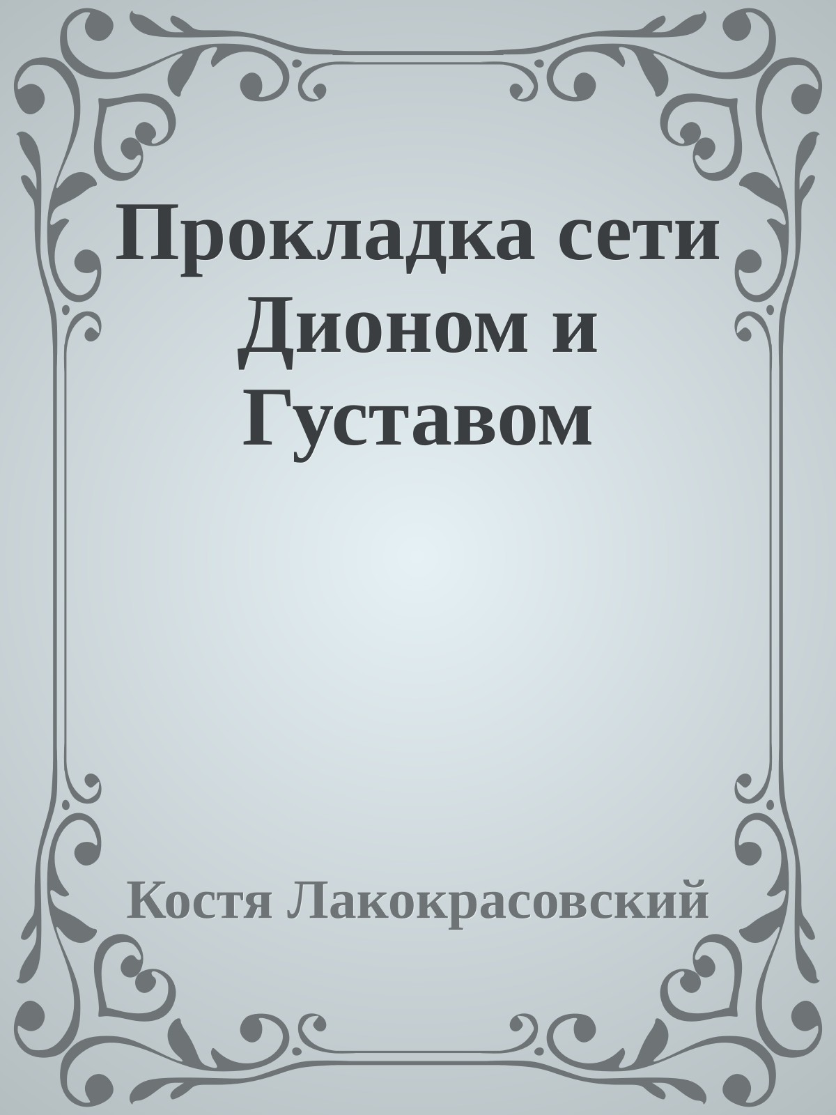 Прокладка сети Дионом и Густавом