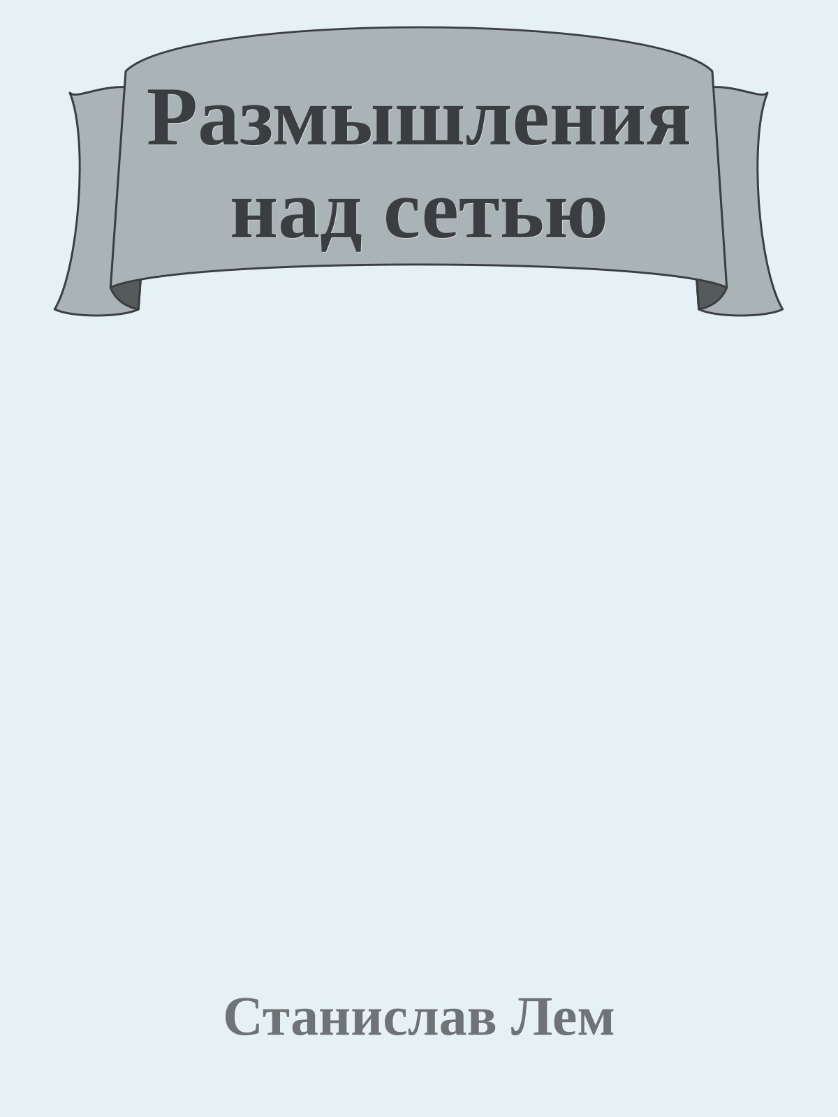 Размышления над сетью