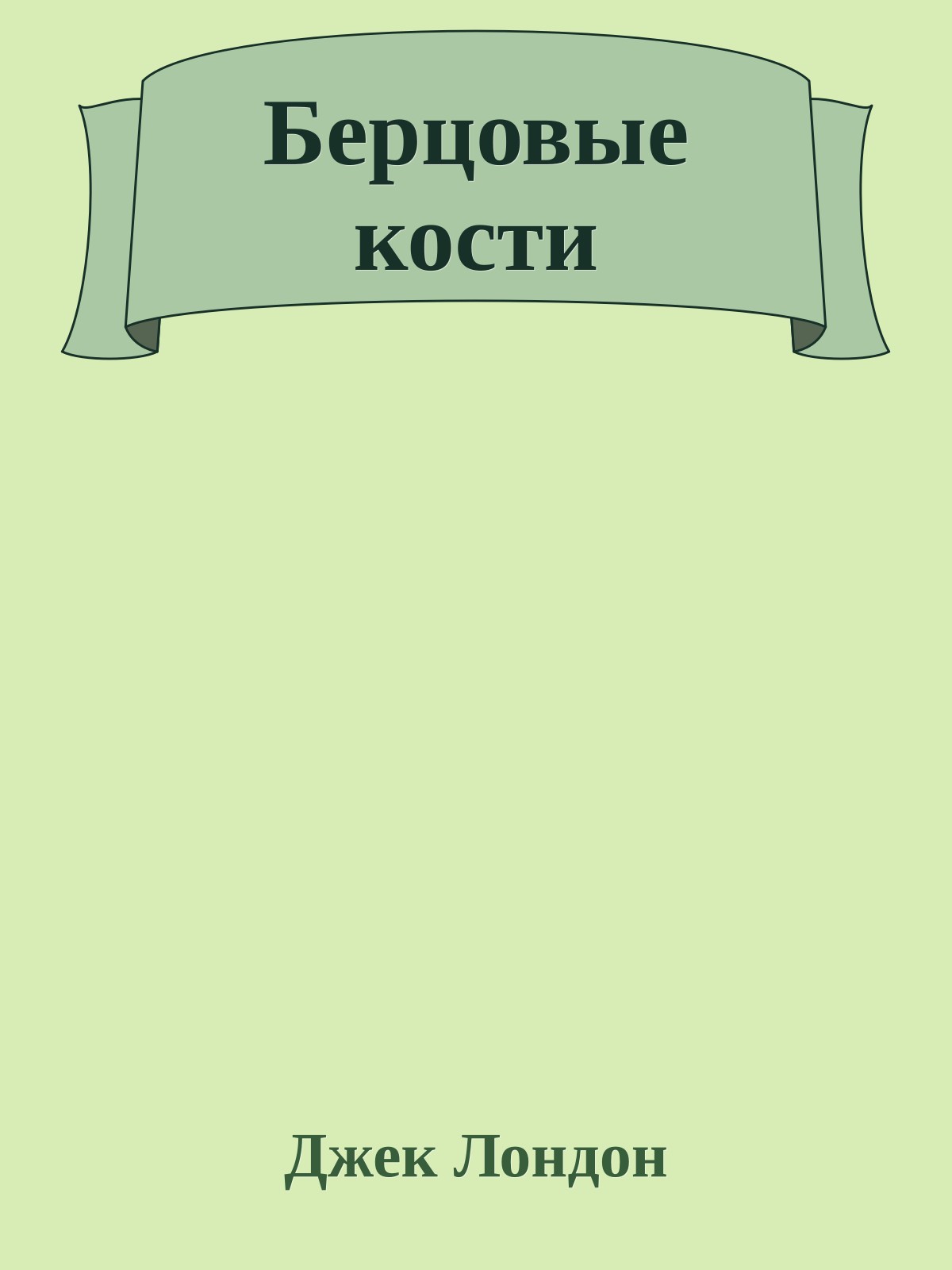 Берцовые кости