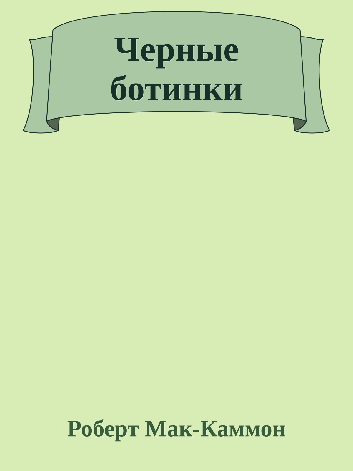 Черные ботинки