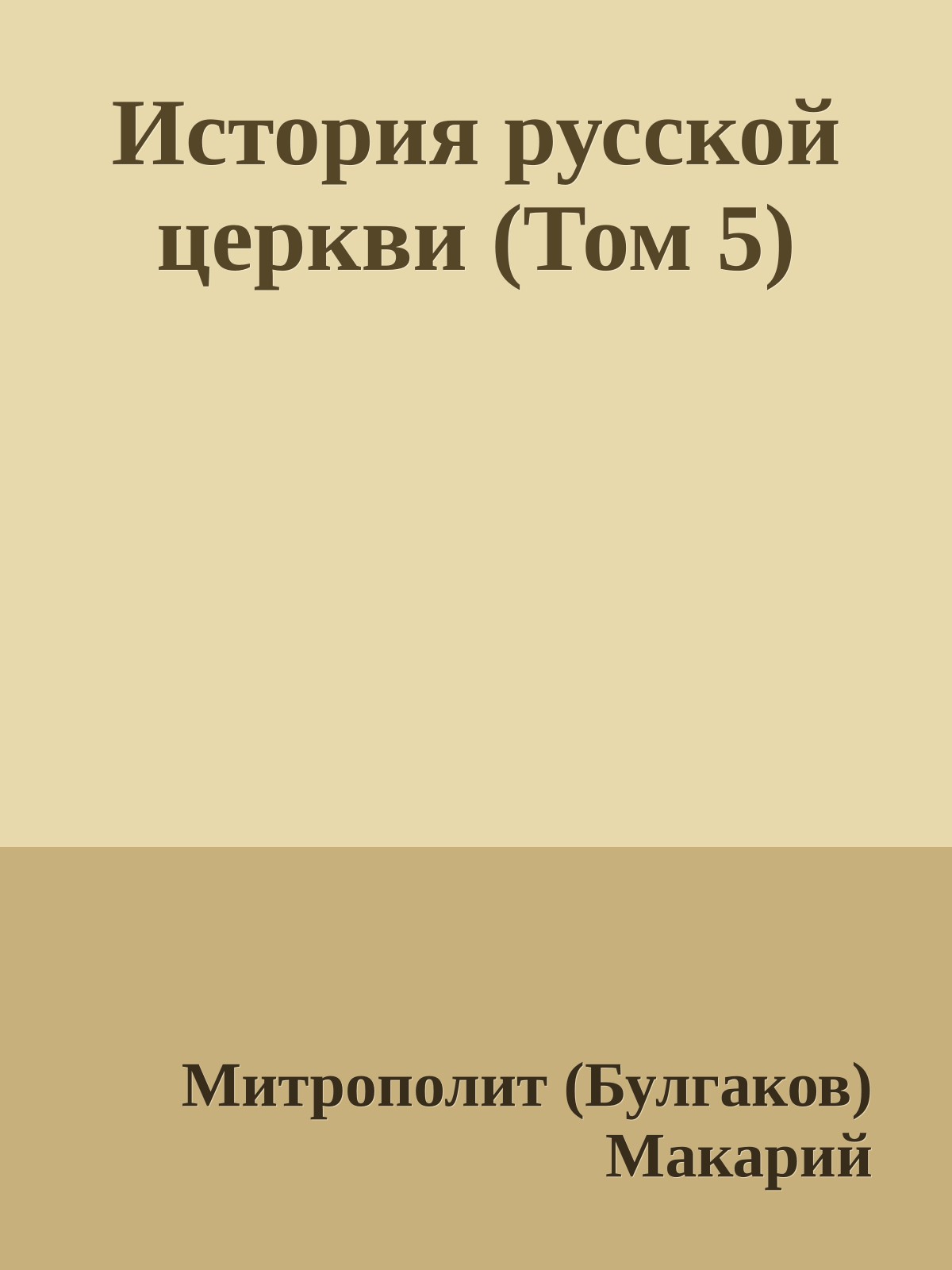 История русской церкви (Том 5)