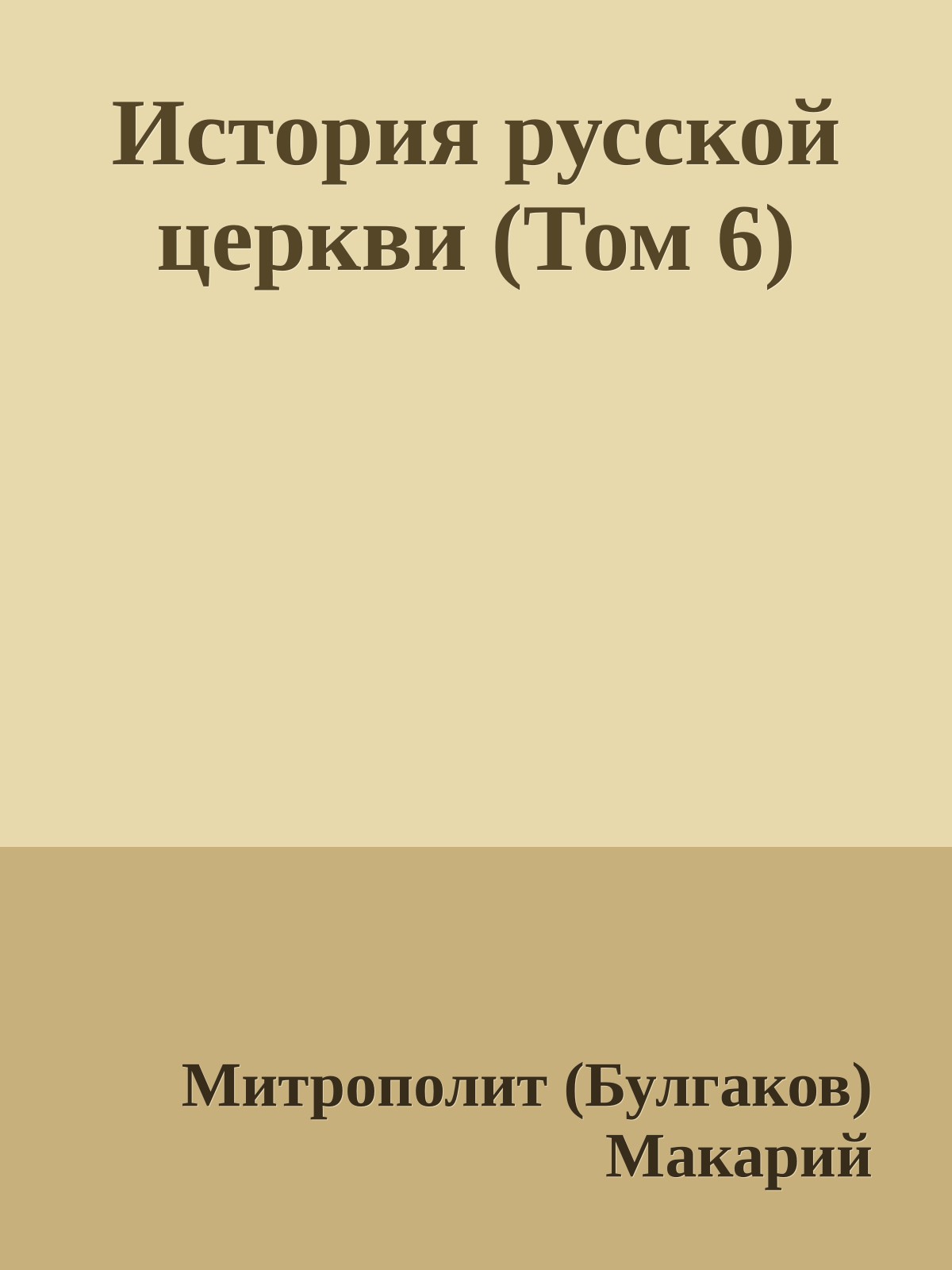 История русской церкви (Том 6)