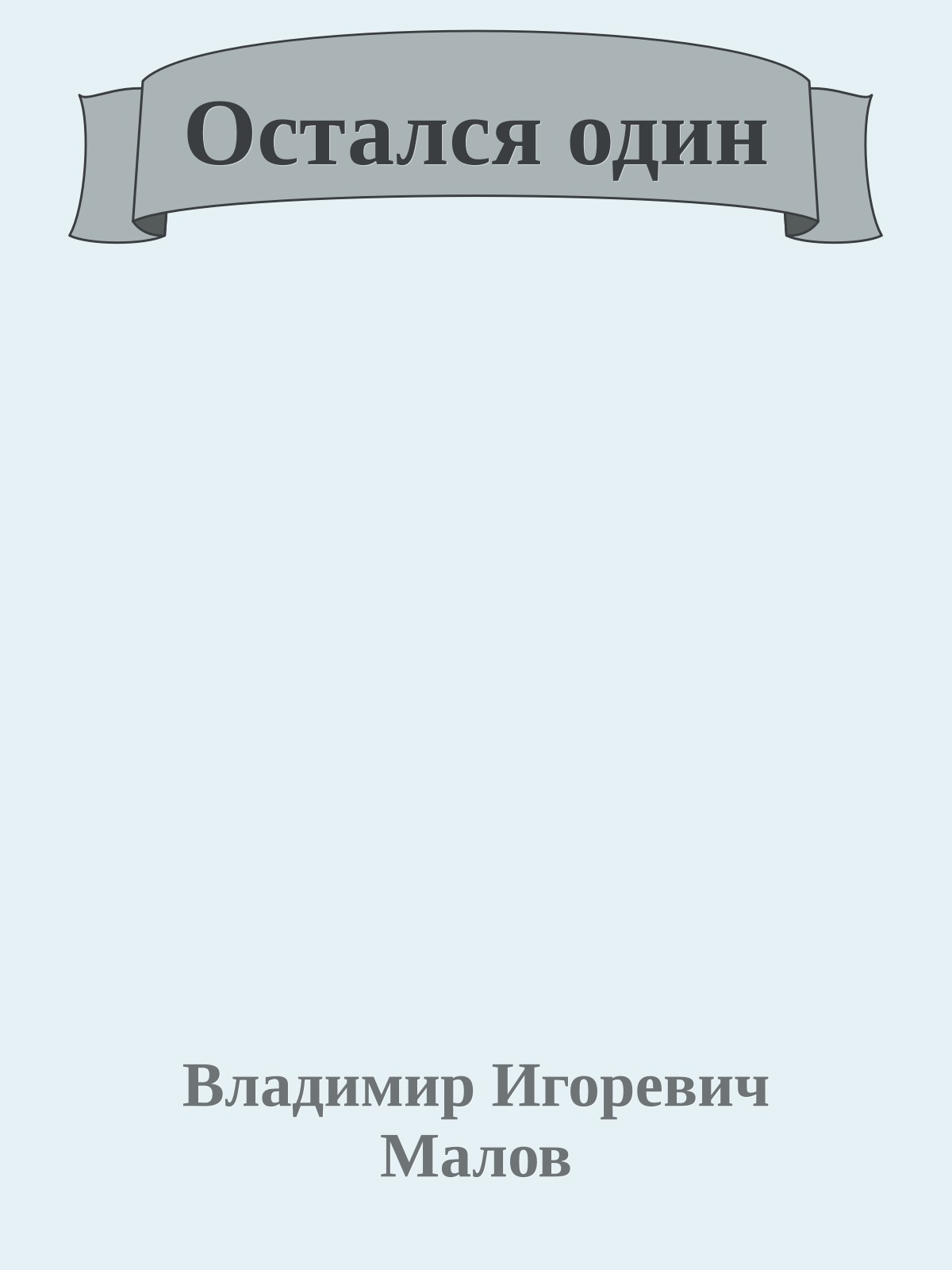 Остался один