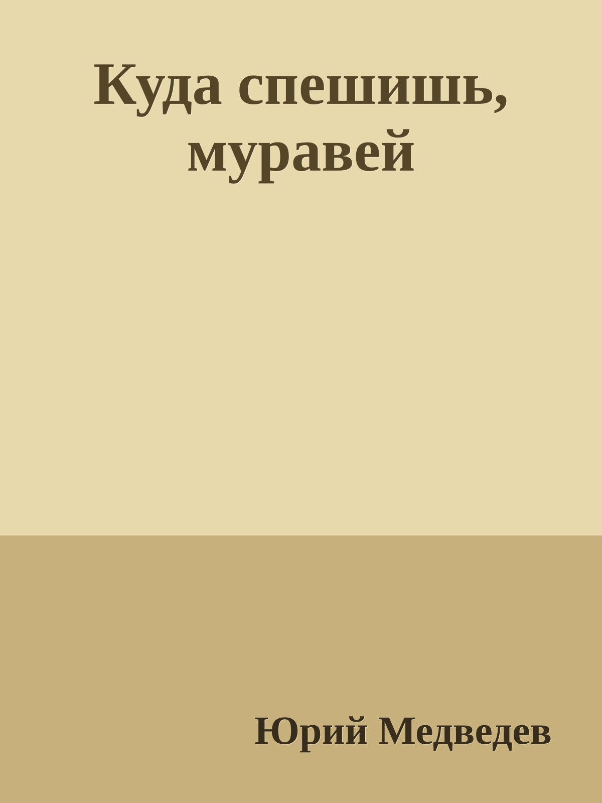 Куда спешишь, муравей