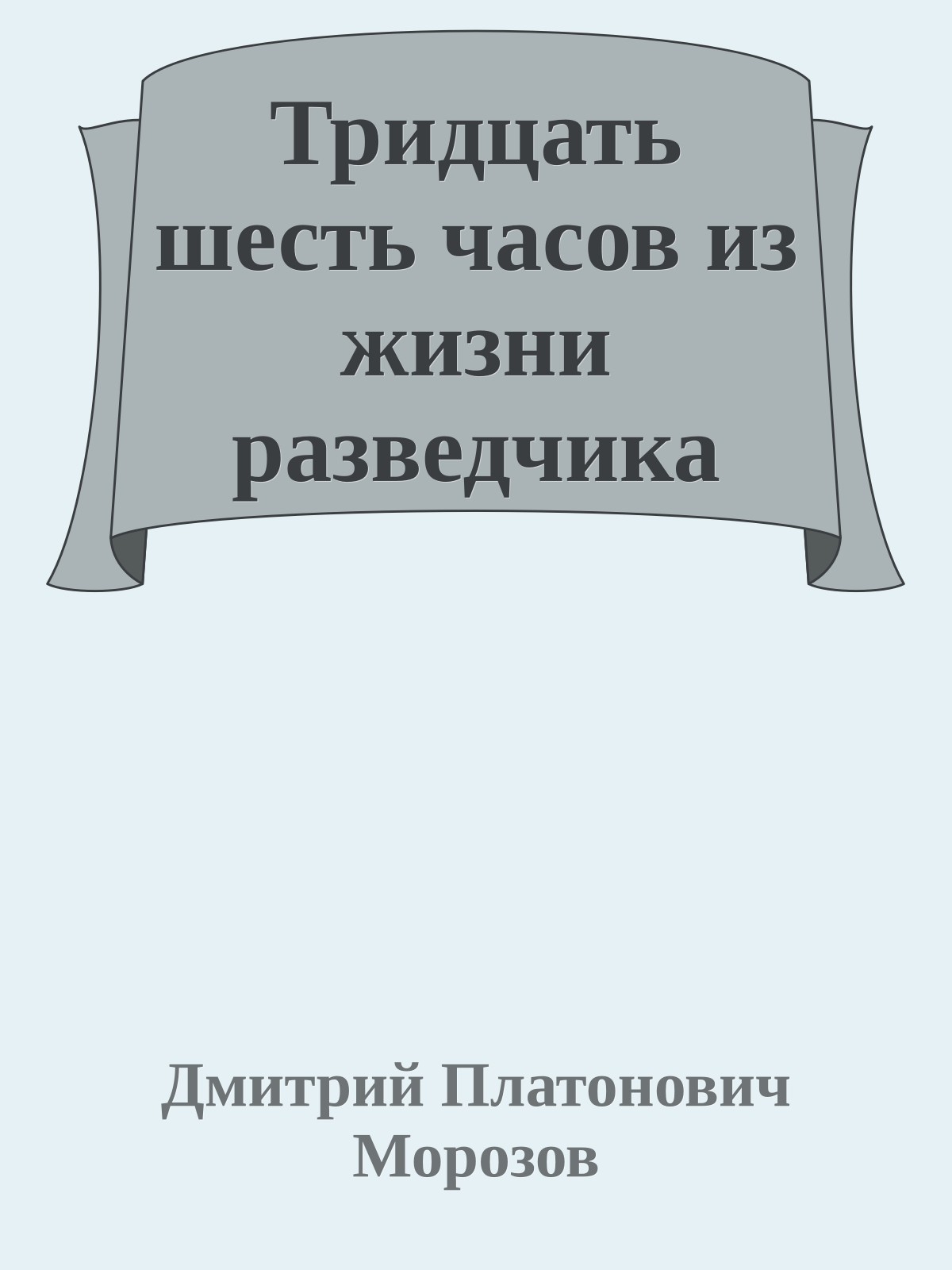 Тридцать шесть часов из жизни разведчика