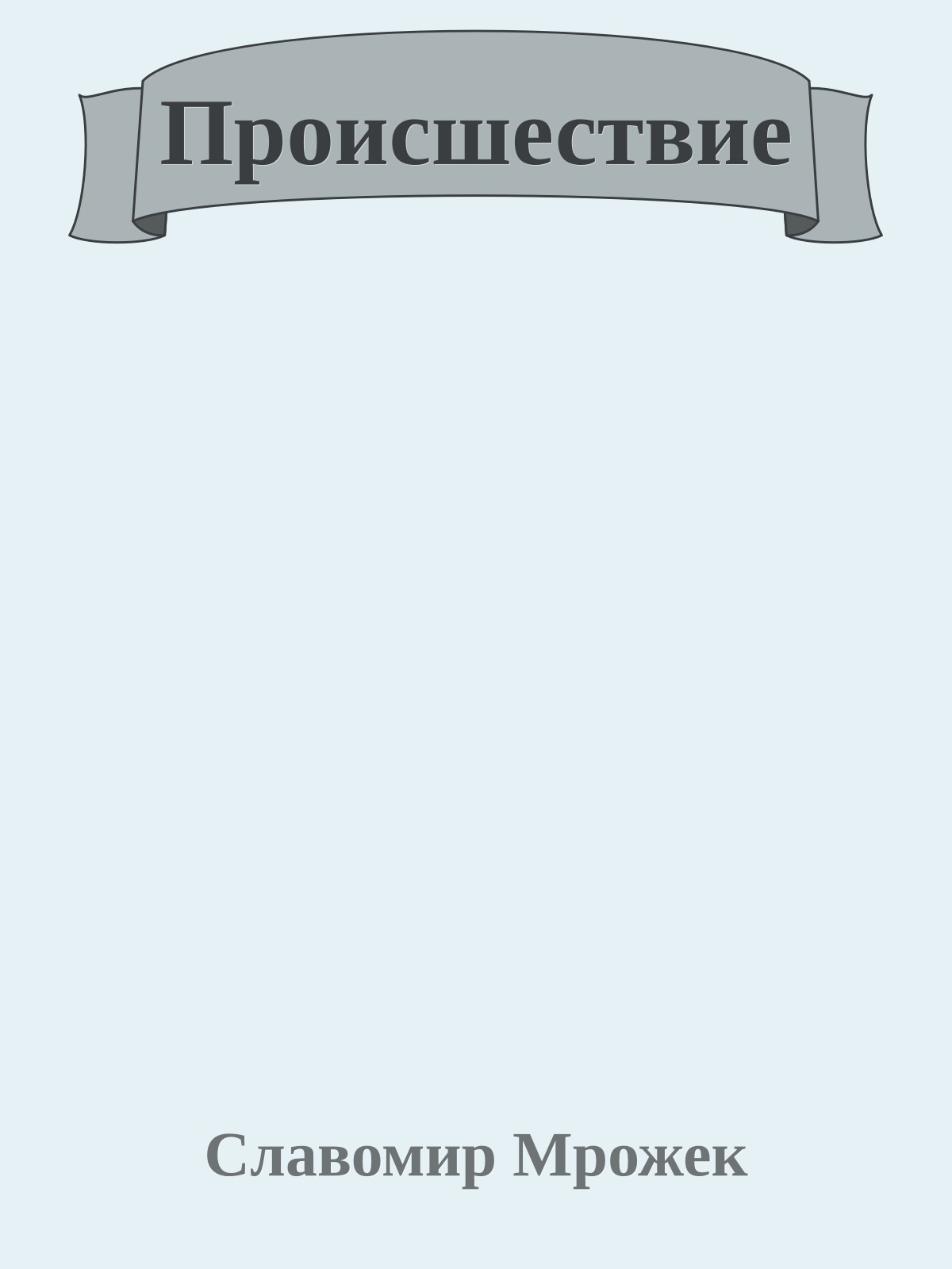 Происшествие