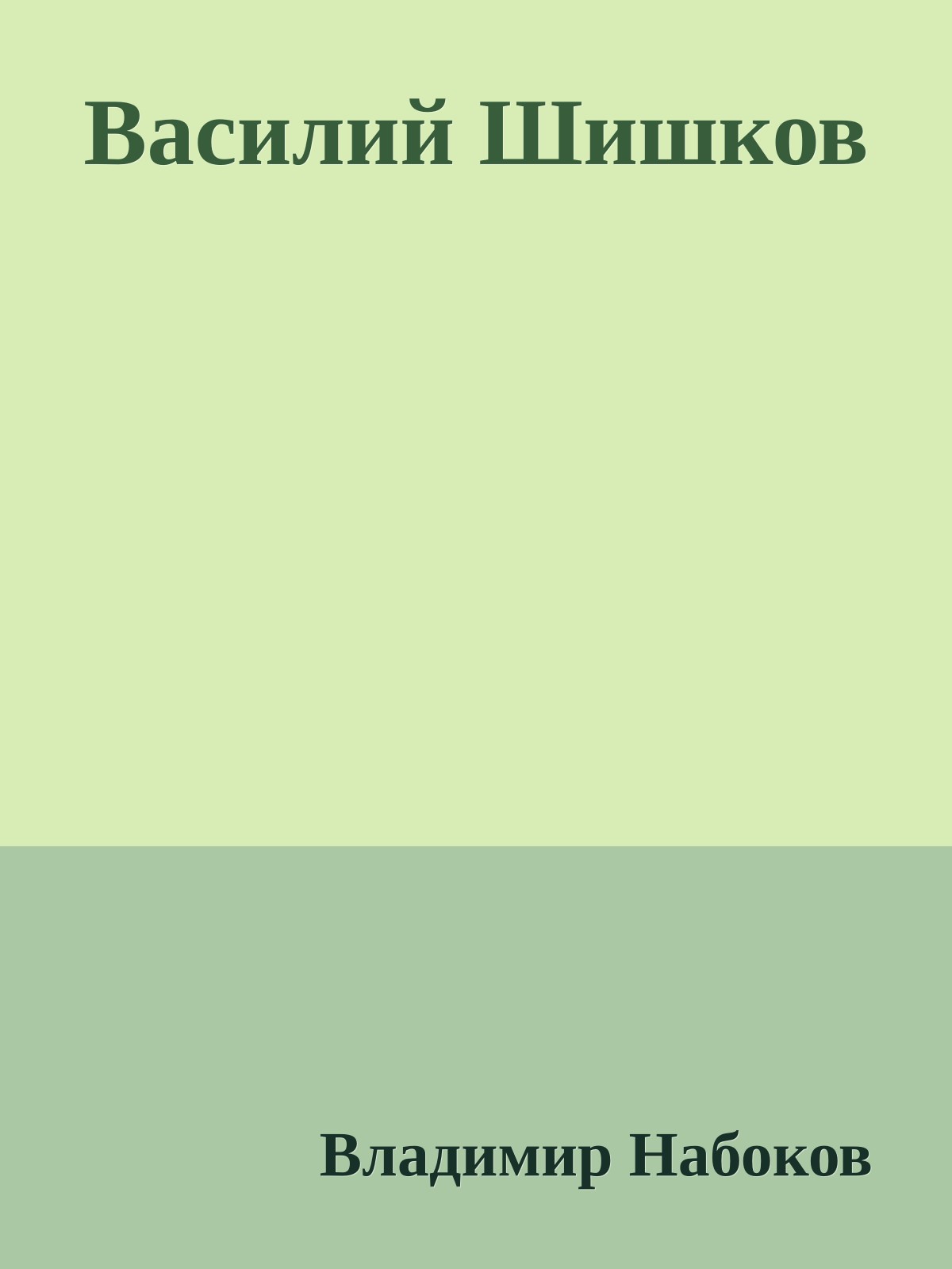 Василий Шишков