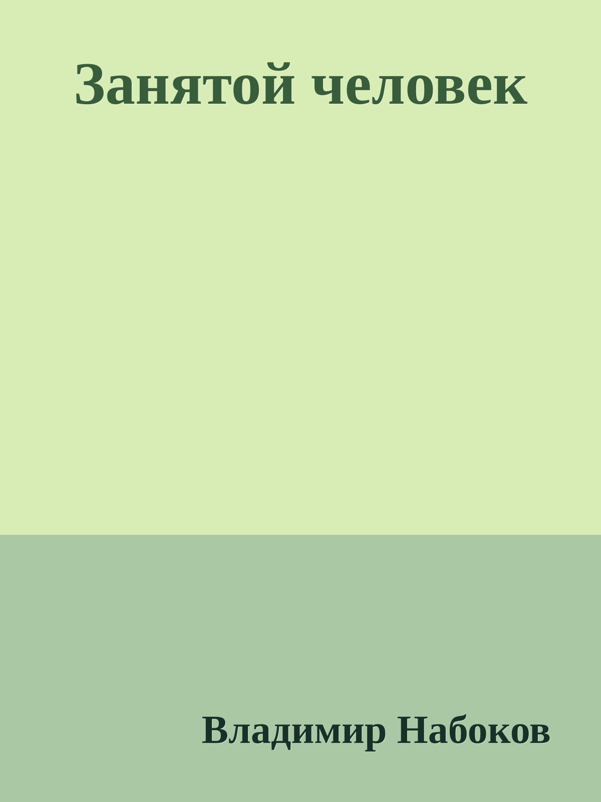 Занятой человек