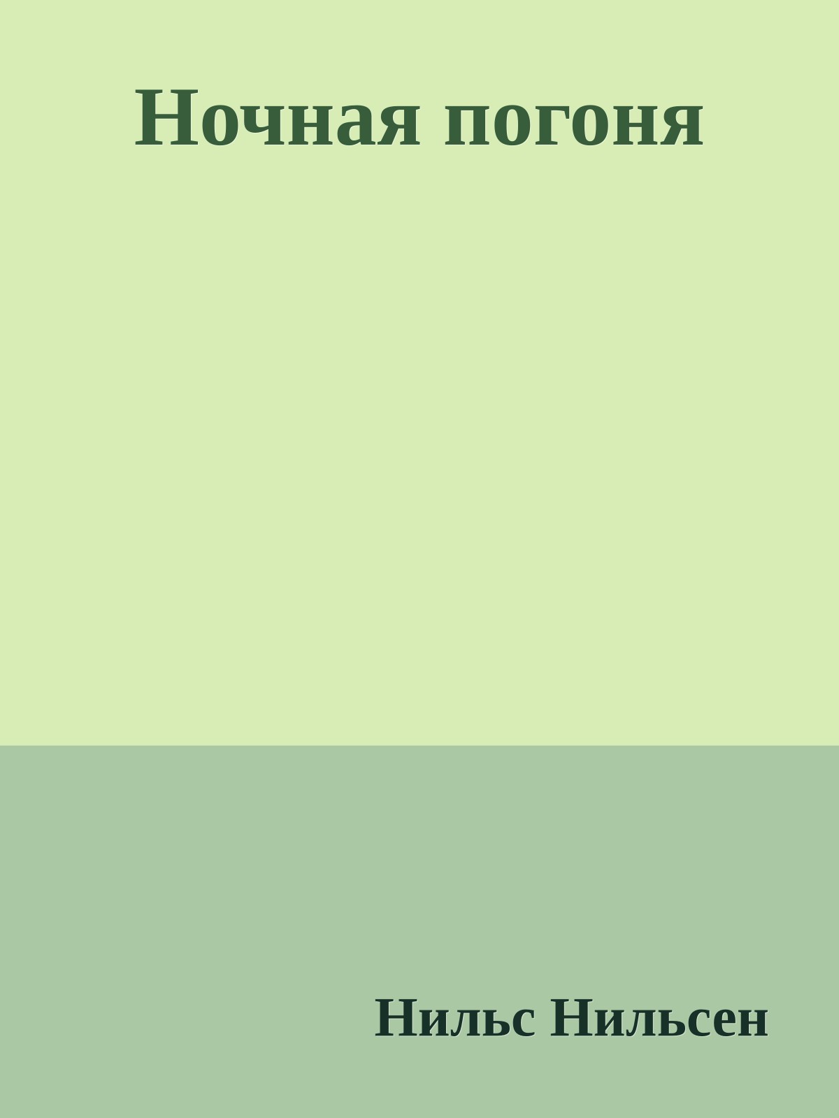 Ночная погоня