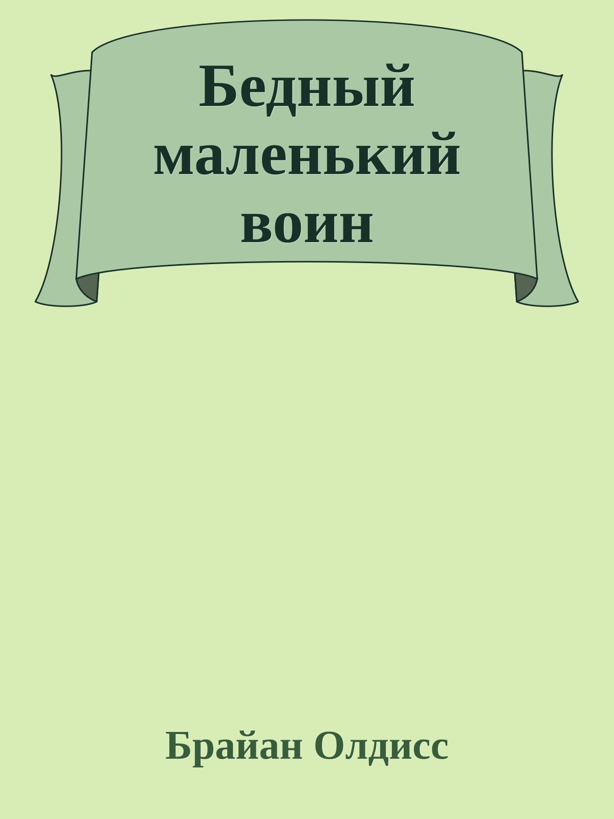Бедный маленький воин