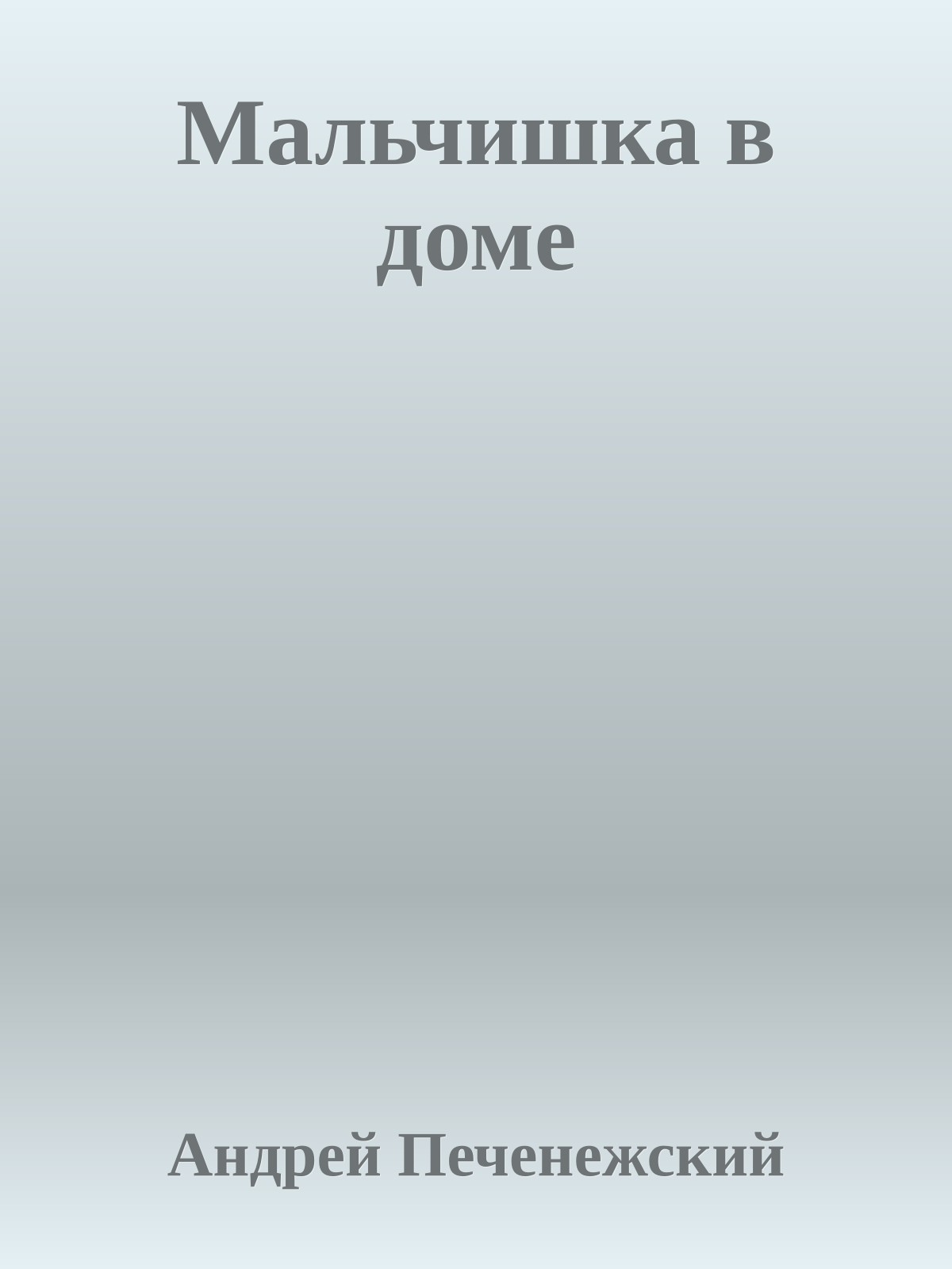 Мальчишка в доме