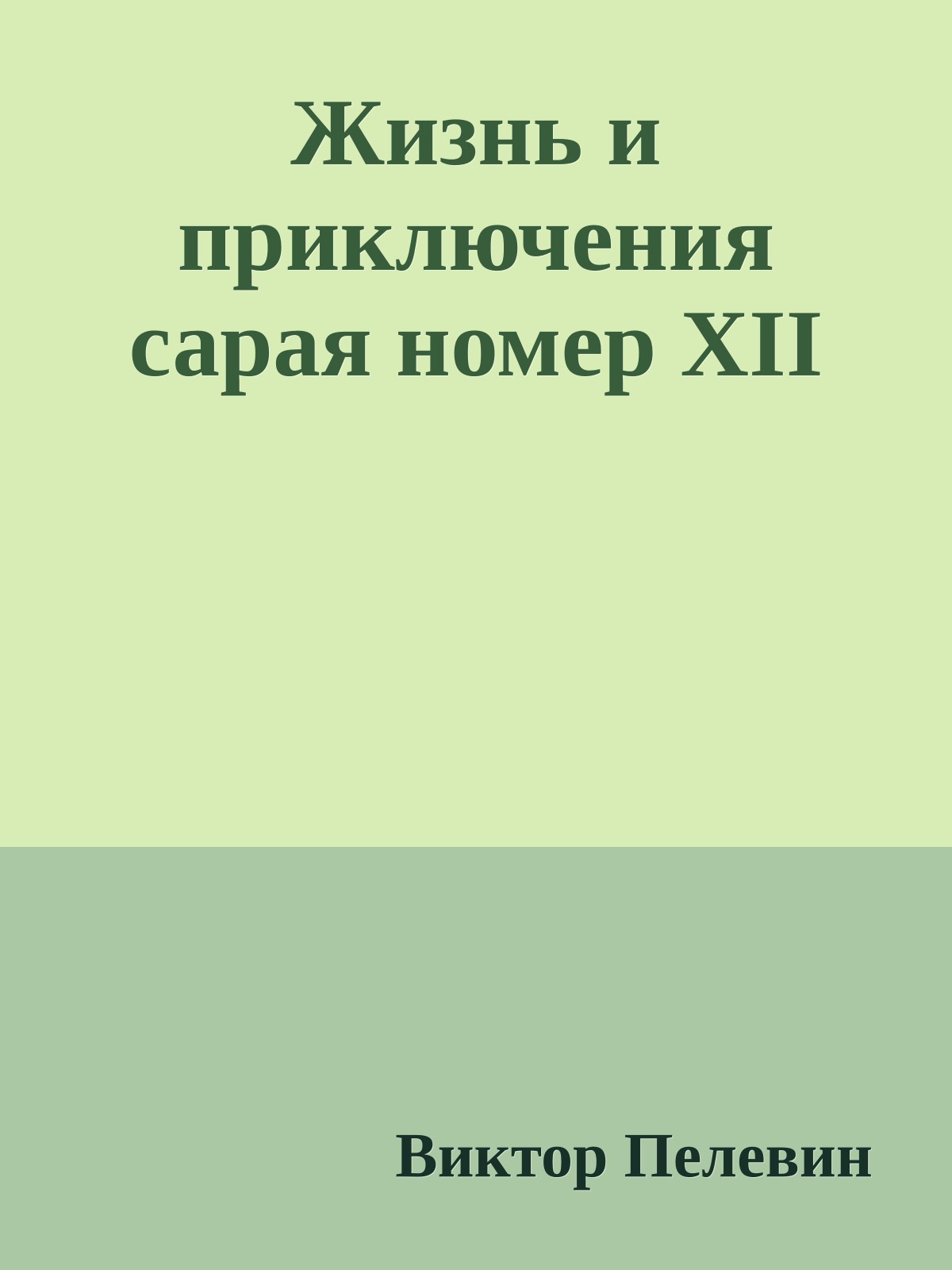 Жизнь и приключения сарая номер XII