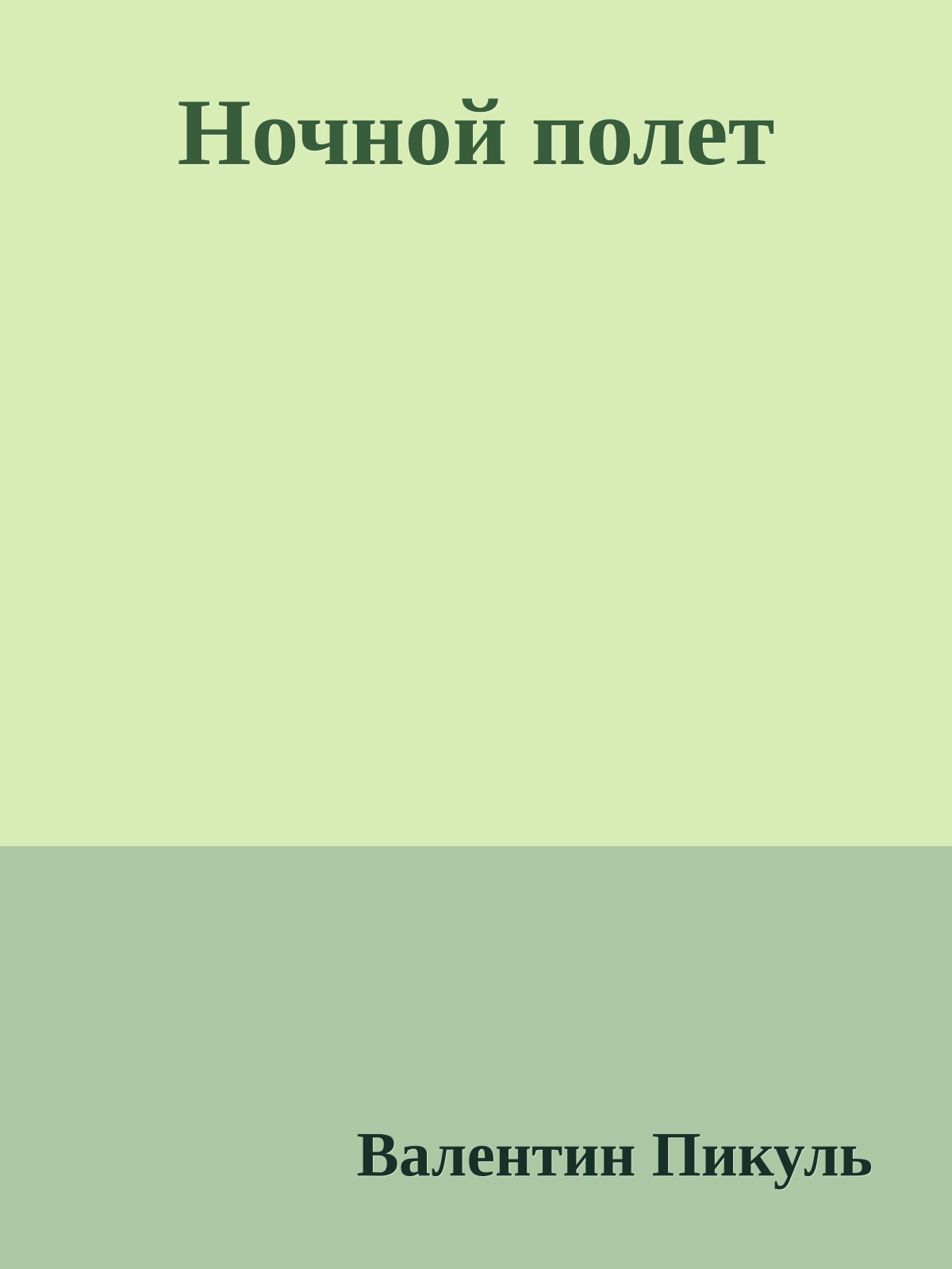 Ночной полет