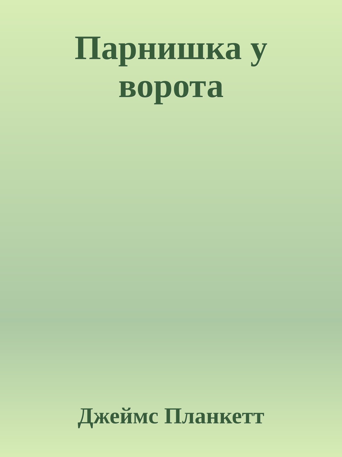 Парнишка у ворота