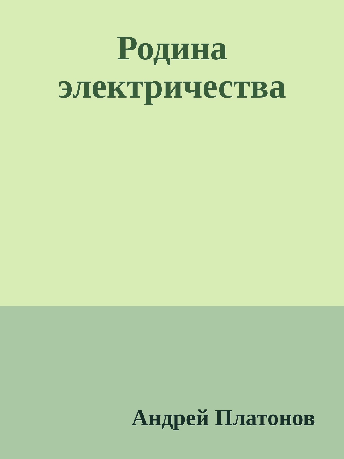 Родина электричества