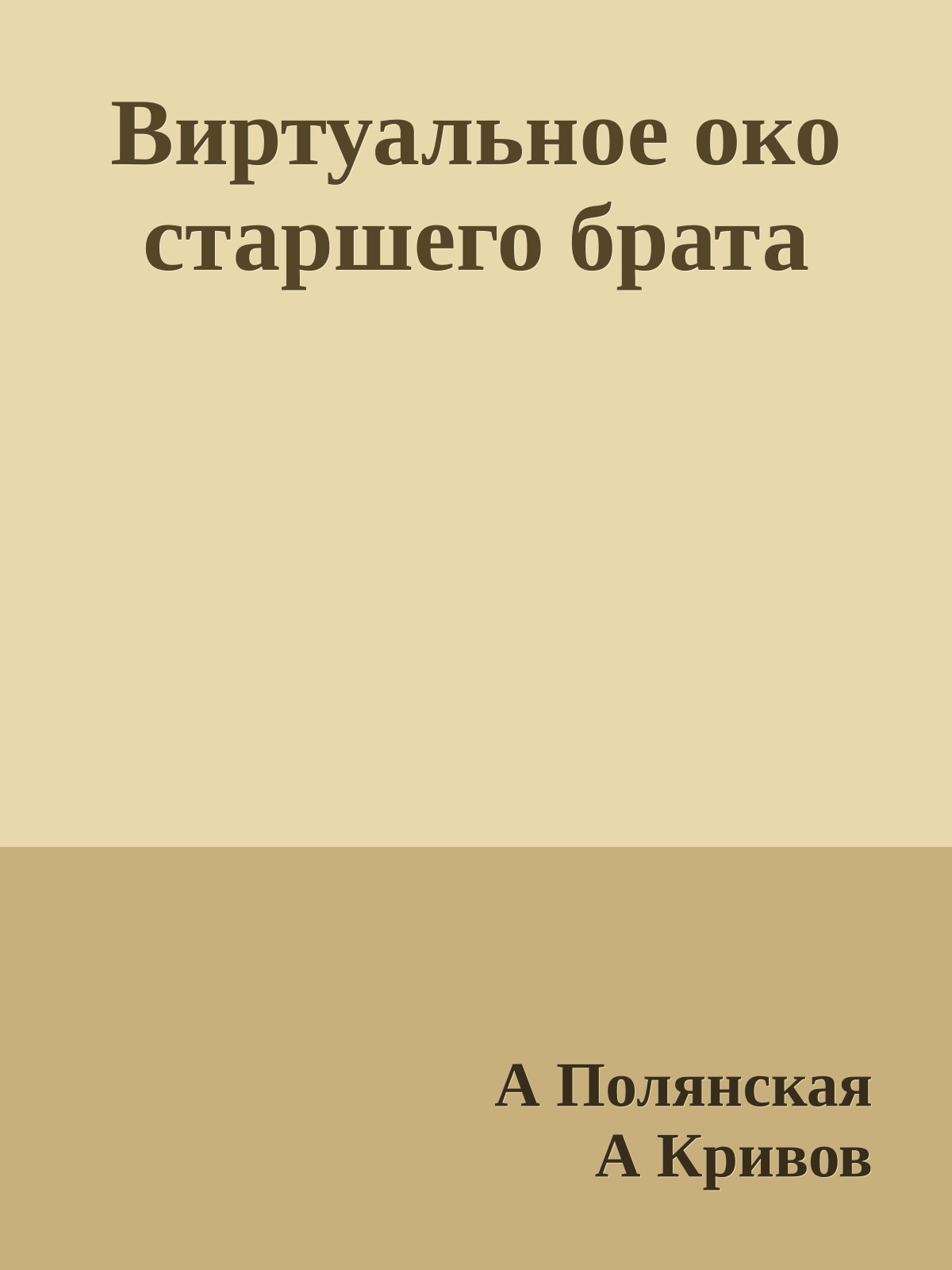Виртуальное око старшего брата