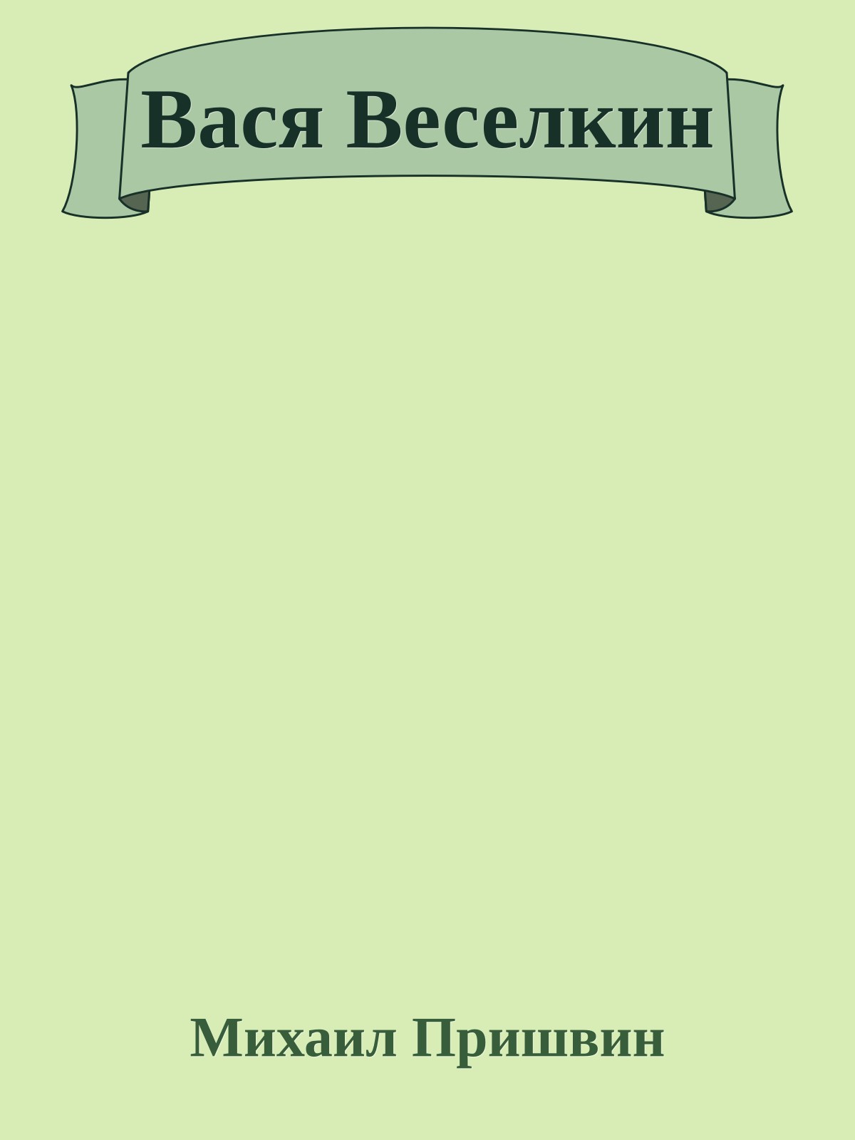 Вася Веселкин