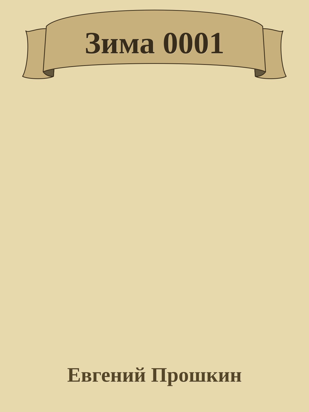 Зима 0001