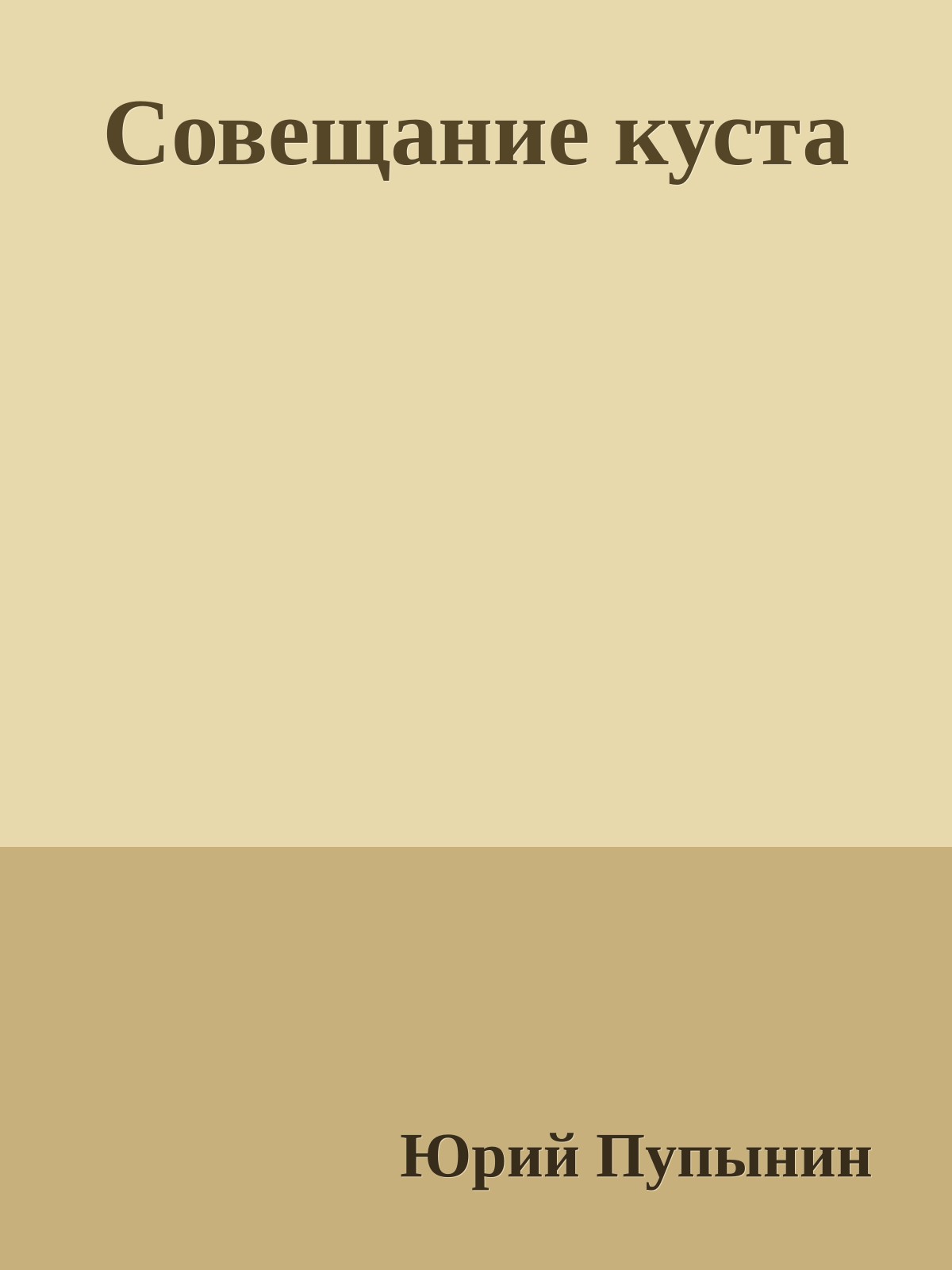 Совещание куста