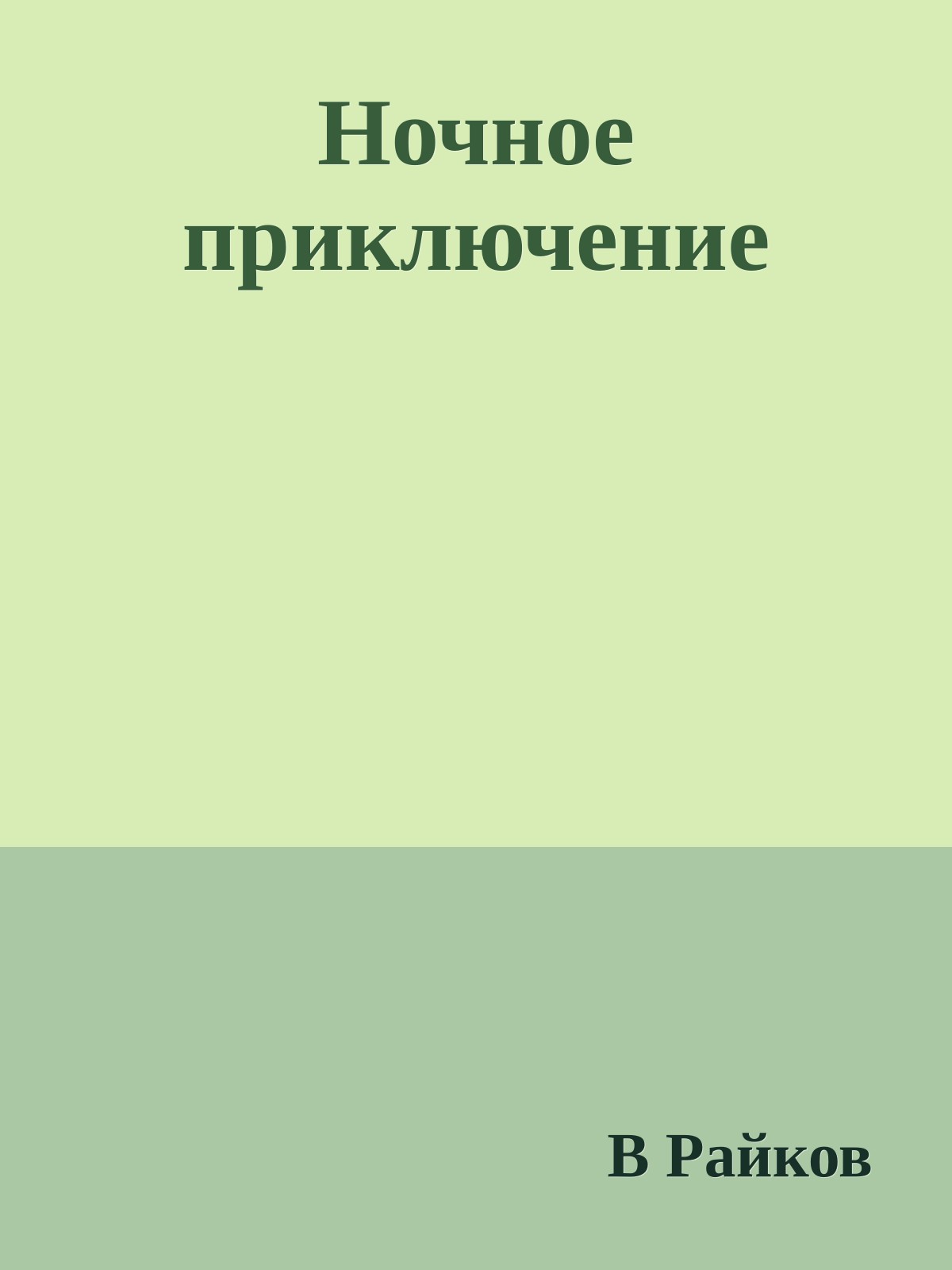 Ночное приключение