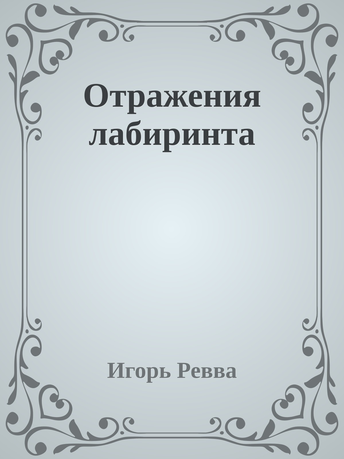 Отражения лабиринта