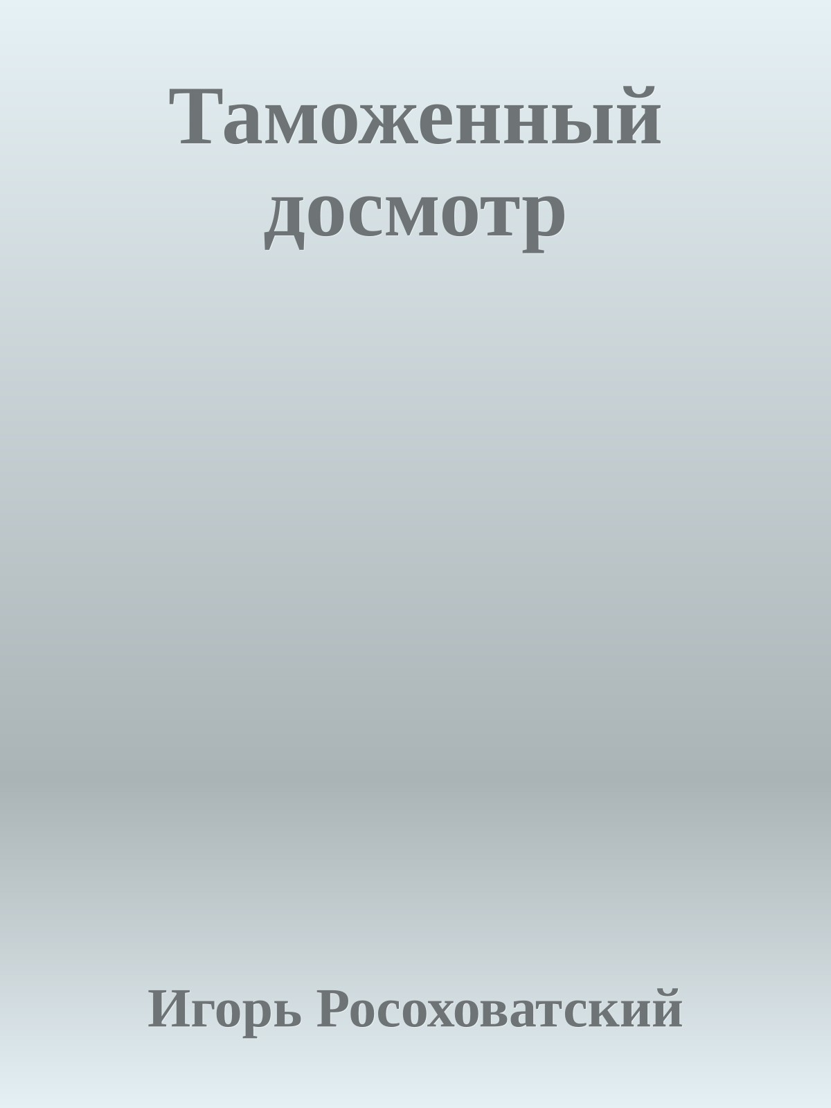 Таможенный досмотр