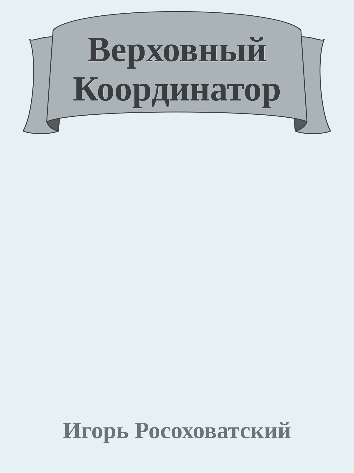 Верховный Координатор