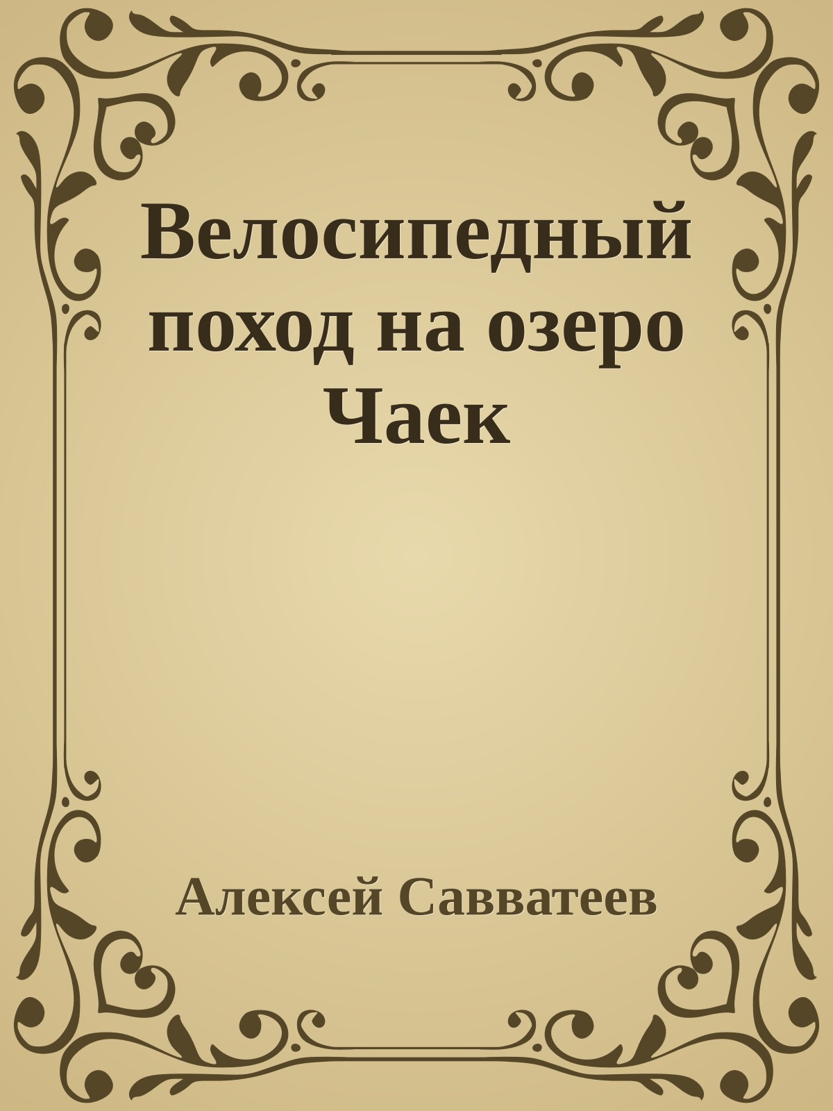 Велосипедный поход на озеро Чаек