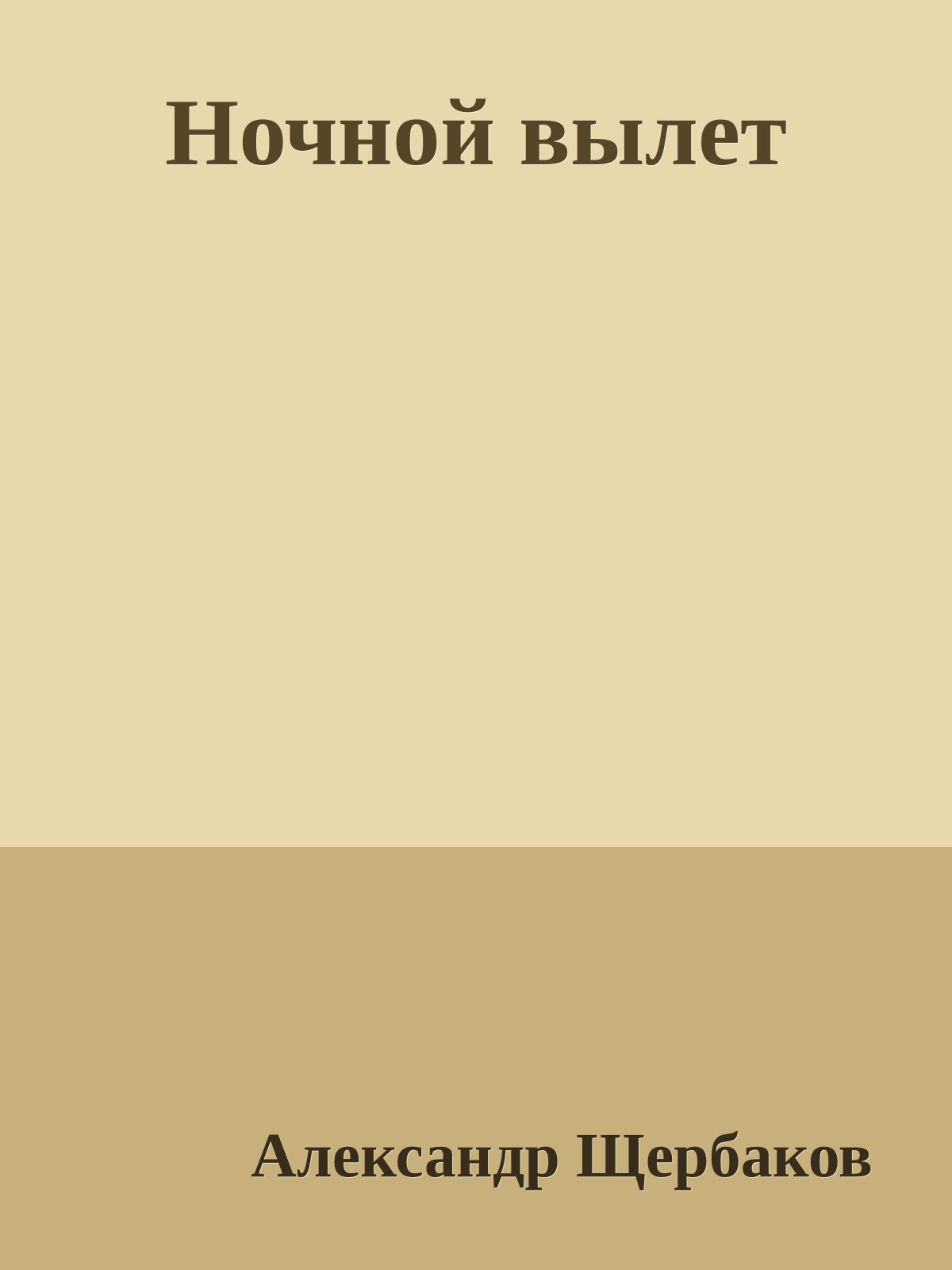 Ночной вылет