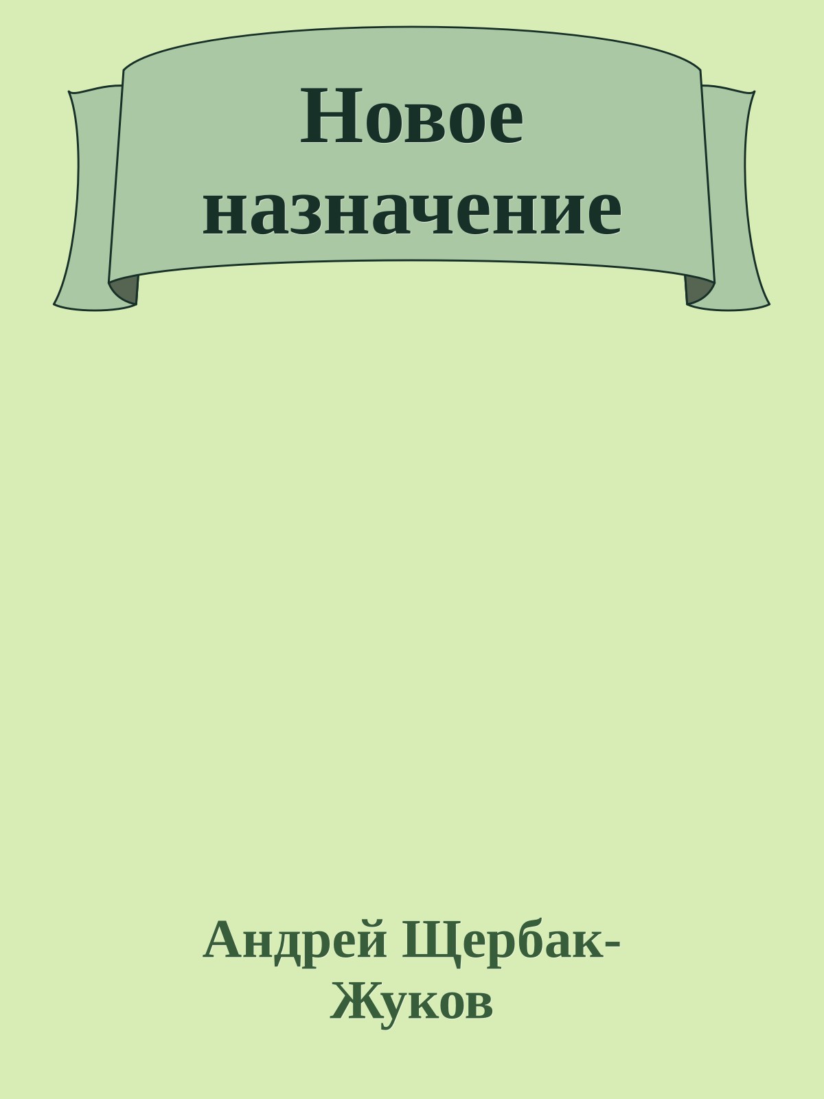 Новое назначение