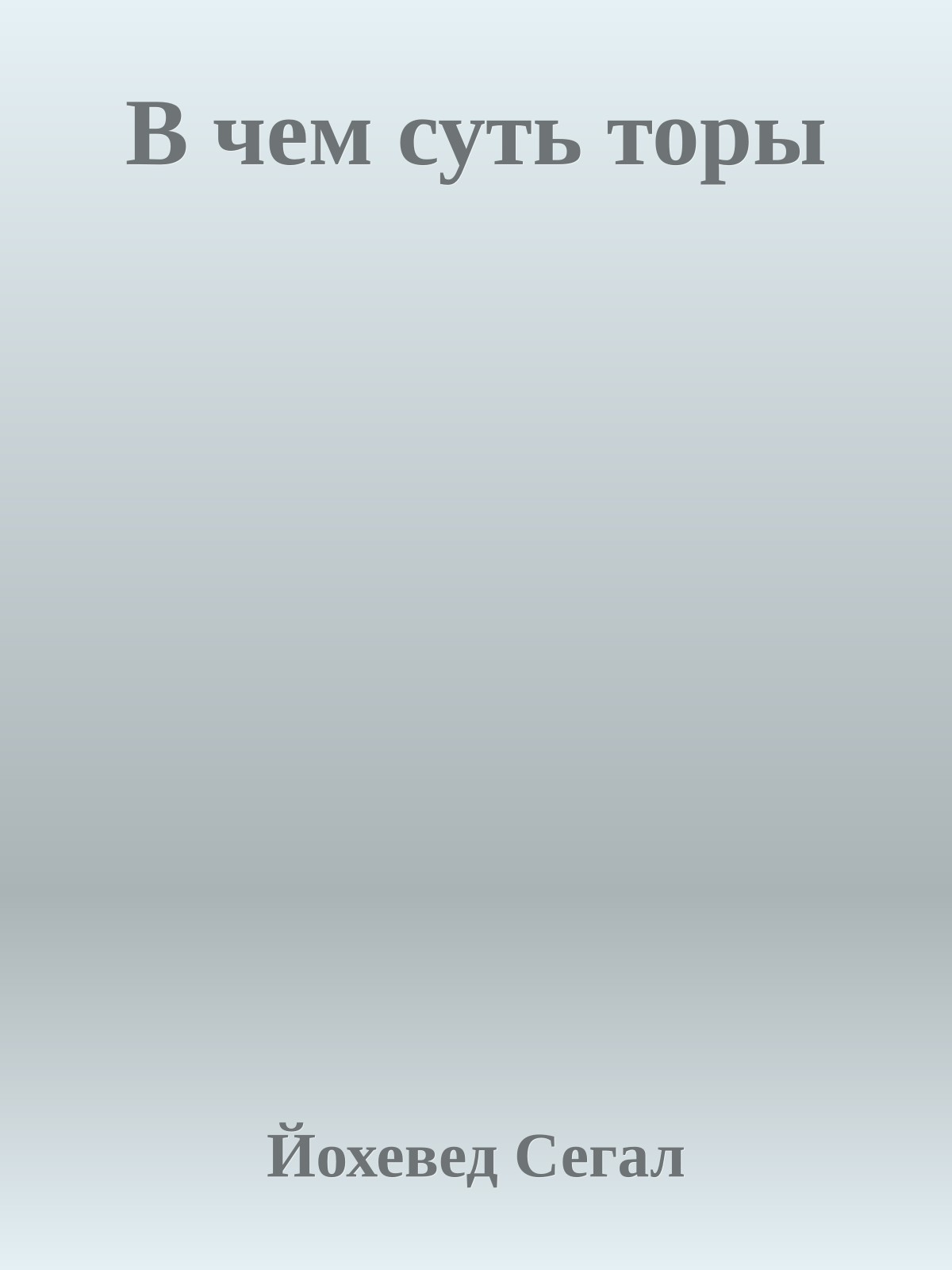 В чем суть торы