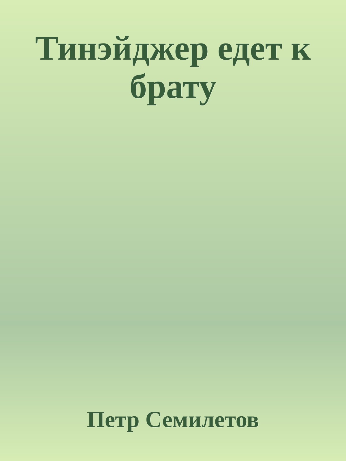 Тинэйджер едет к брату