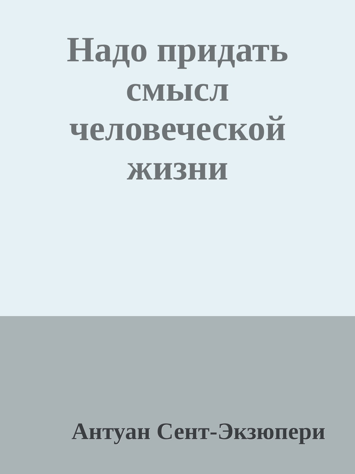 Надо придать смысл человеческой жизни