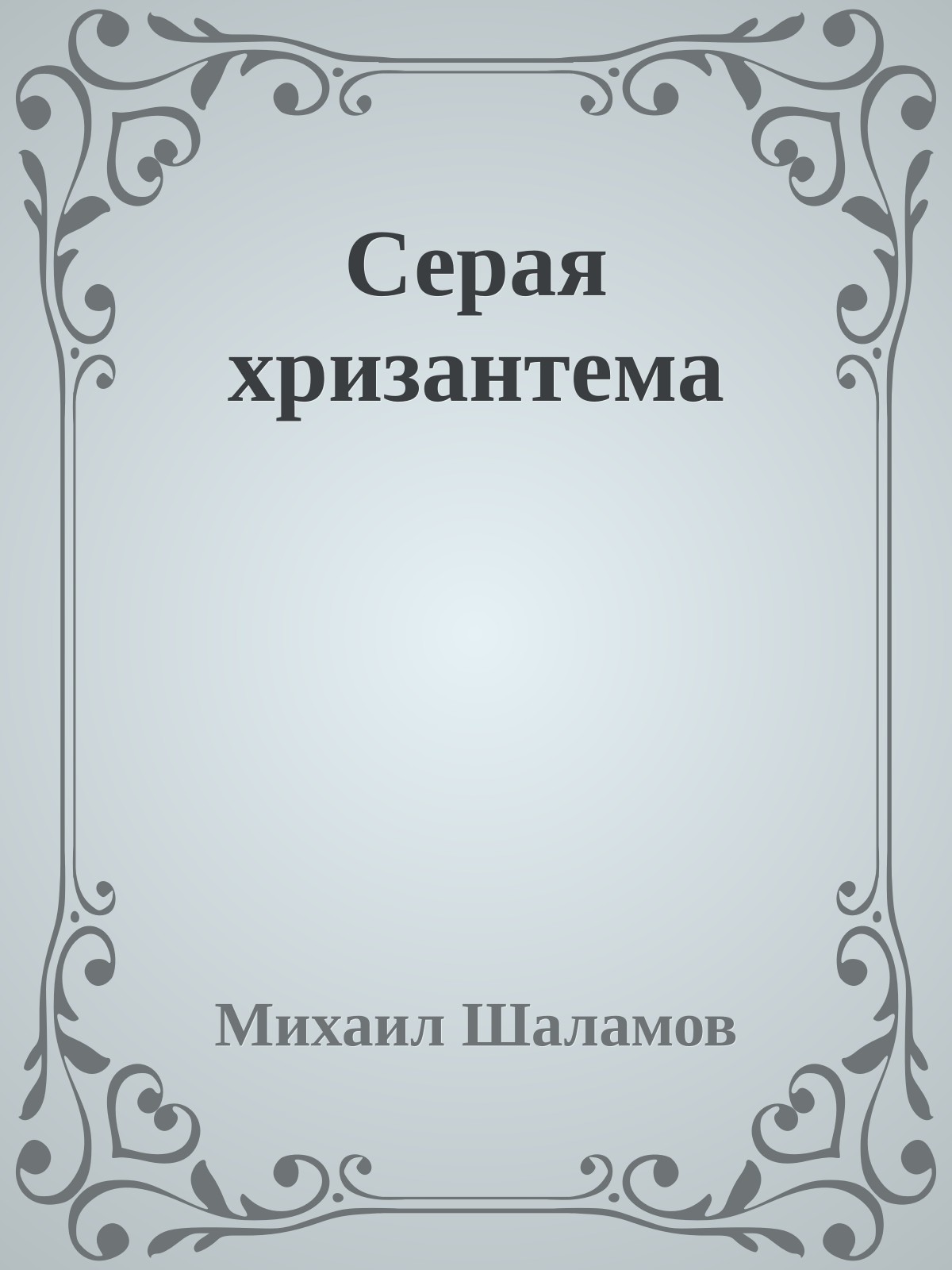 Серая хризантема