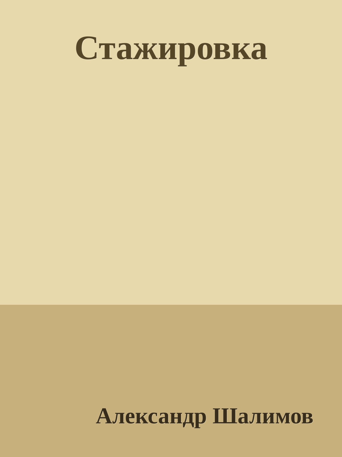 Стажировка