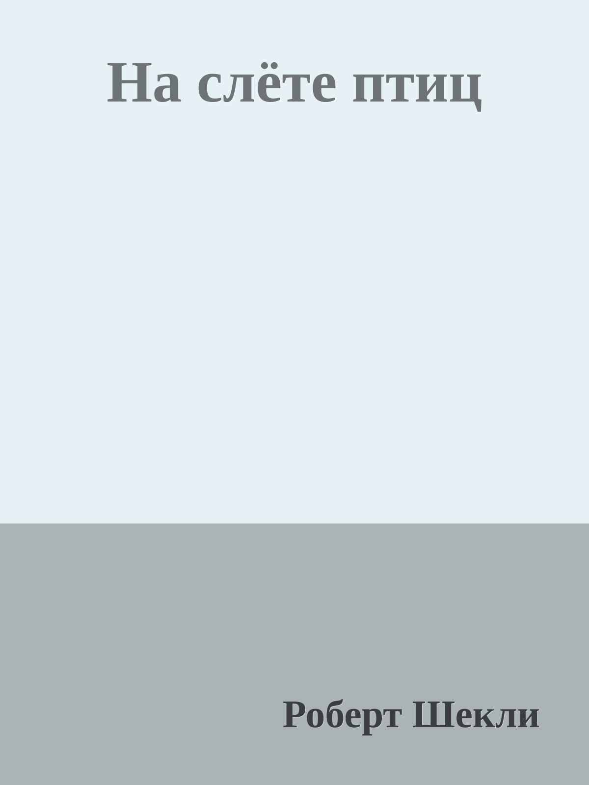 На слёте птиц