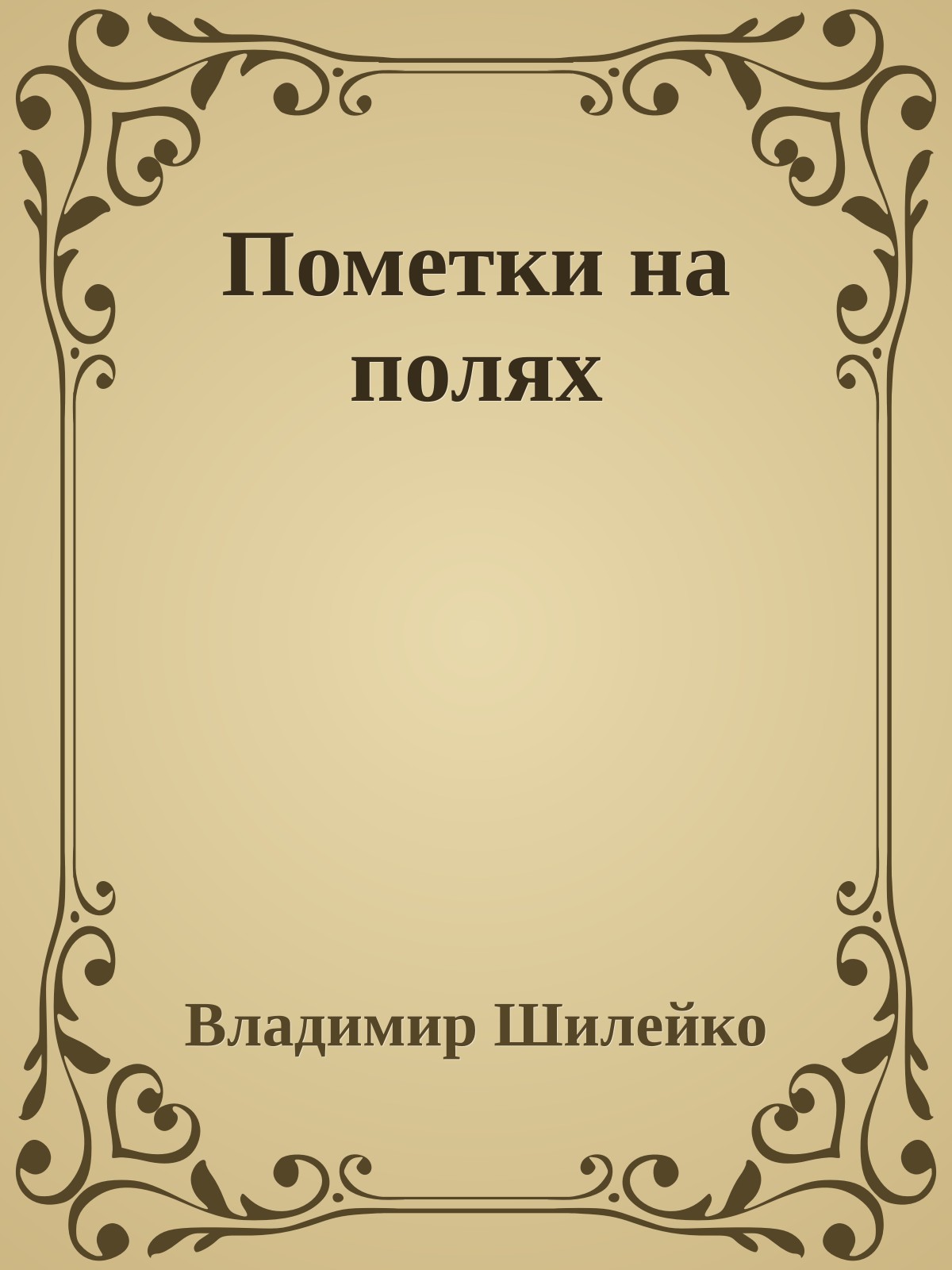 Пометки на полях