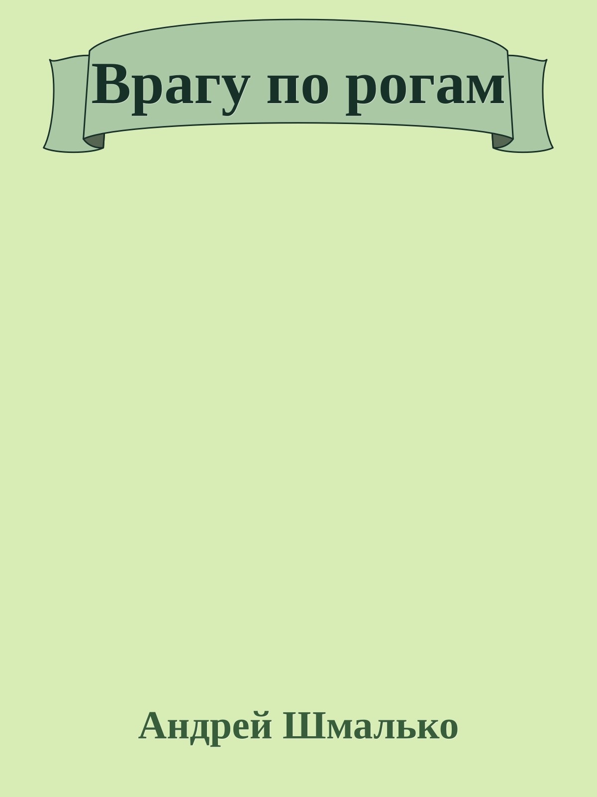 Врагу по рогам