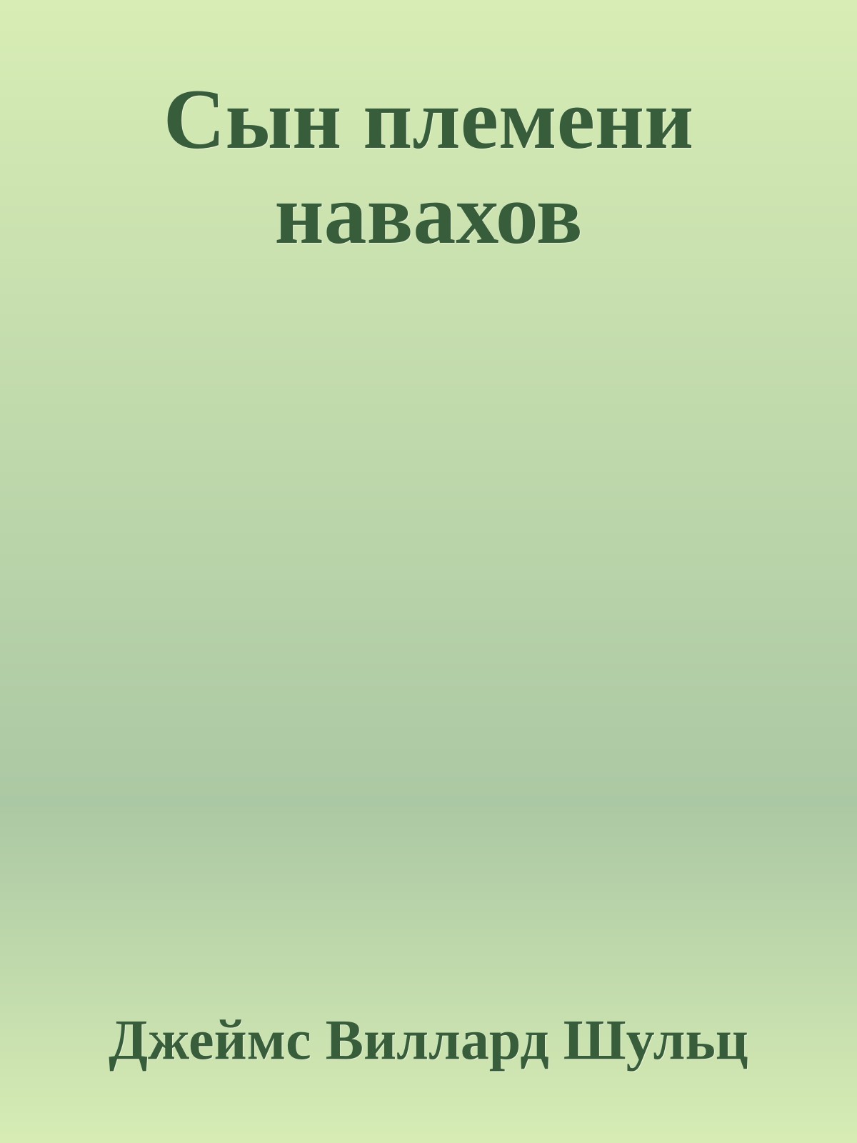 Сын племени навахов