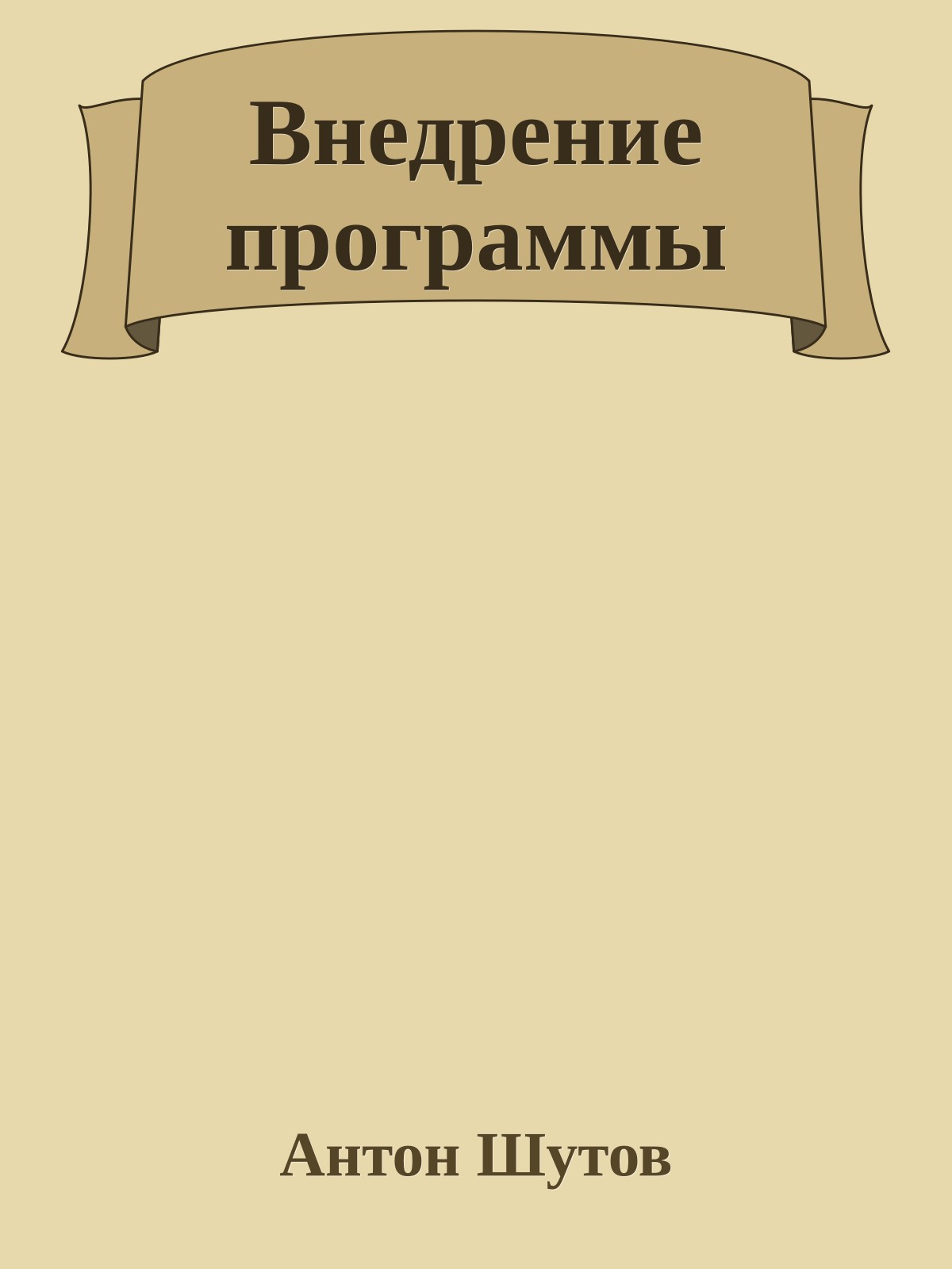 Внедрение программы