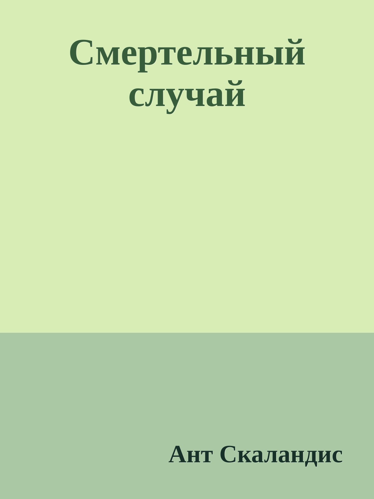 Смертельный случай