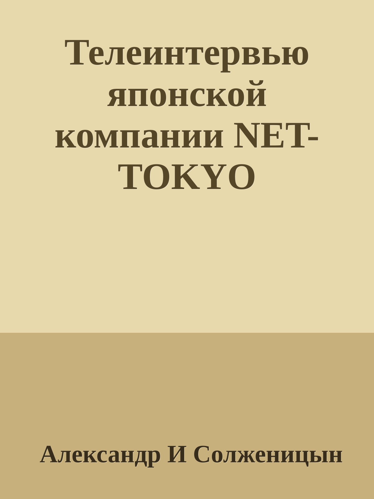 Телеинтервью японской компании NET-TOKYO