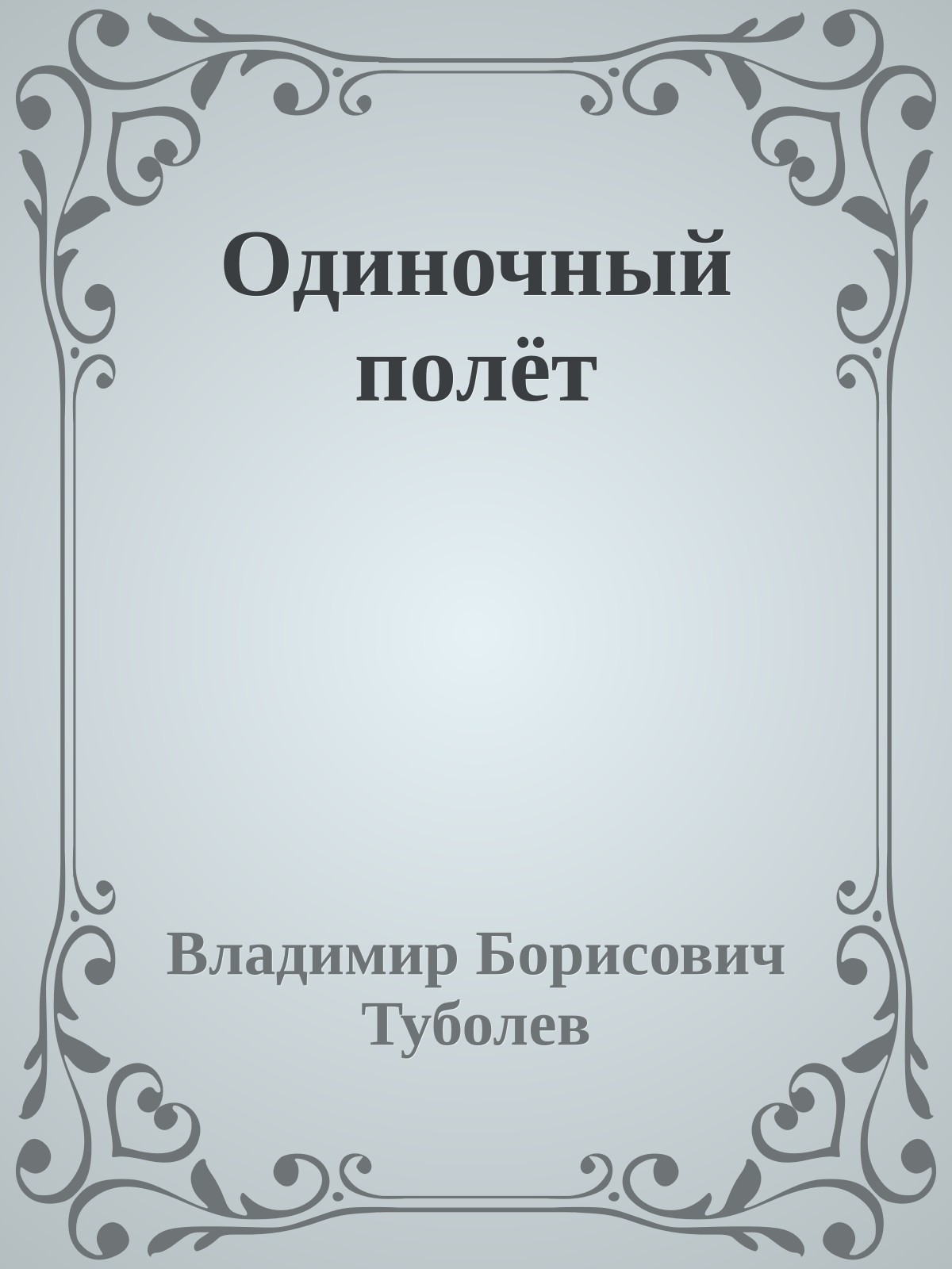 Одиночный полёт