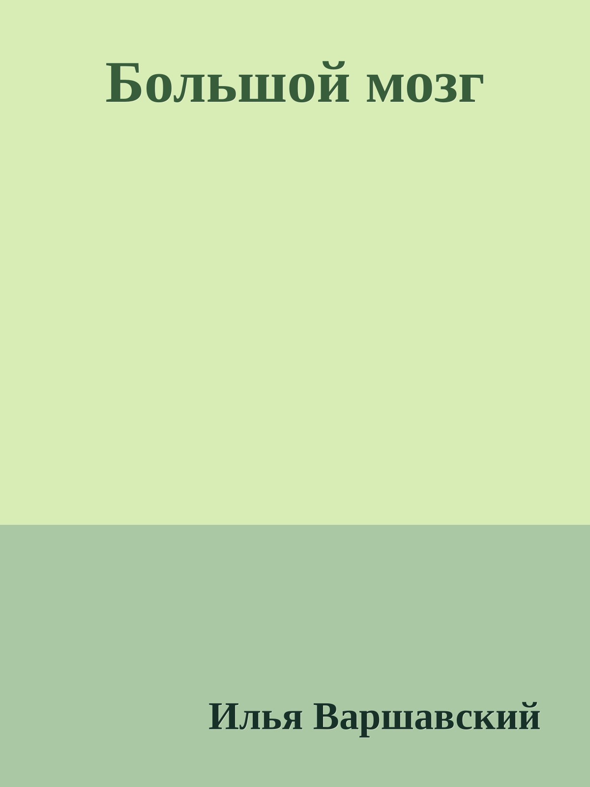 Большой мозг