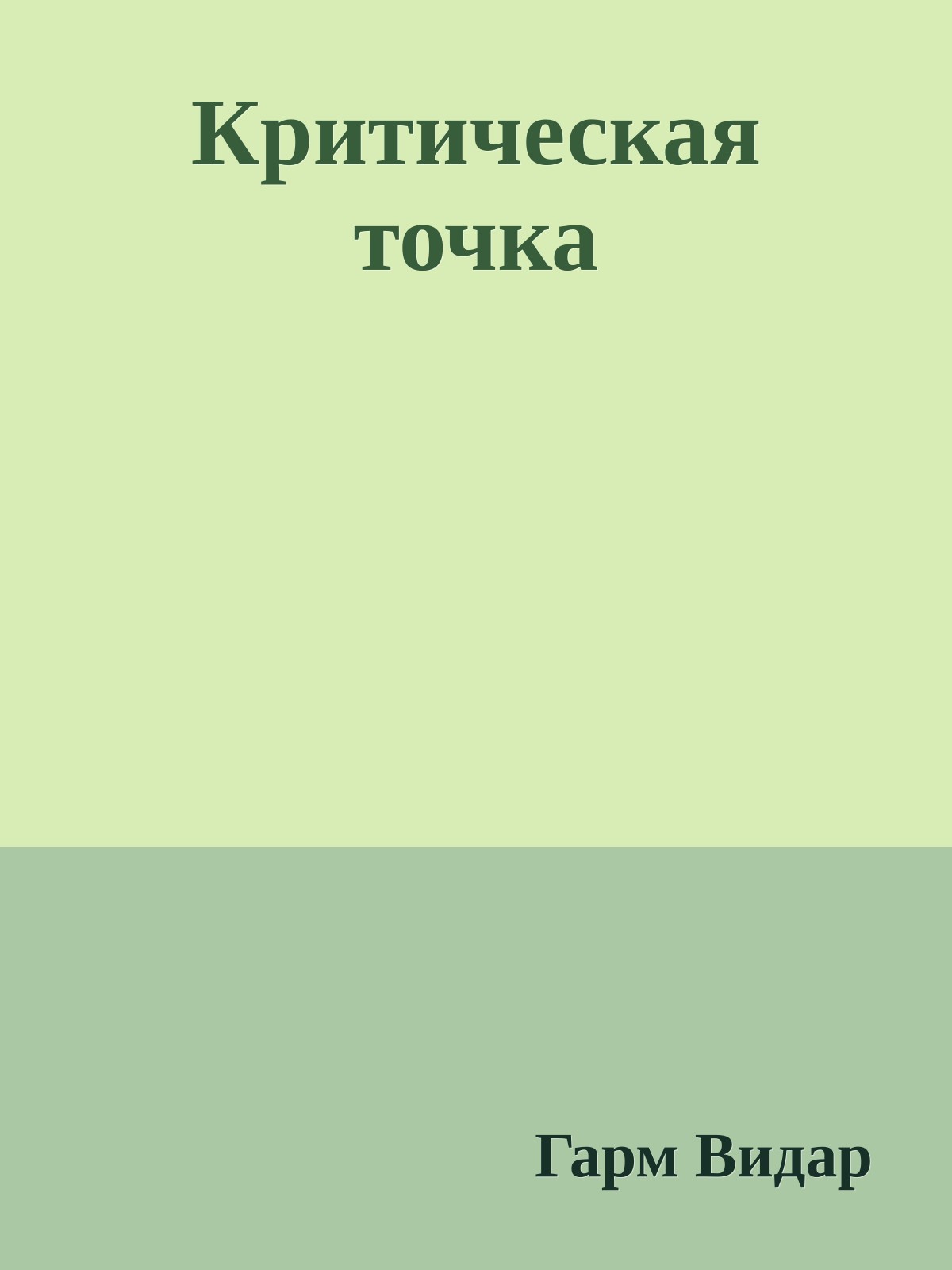 Критическая точка