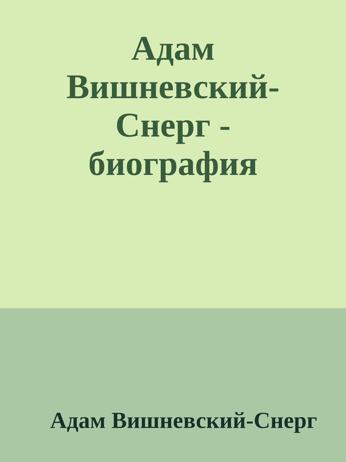 Адам Вишневский-Снерг - биография