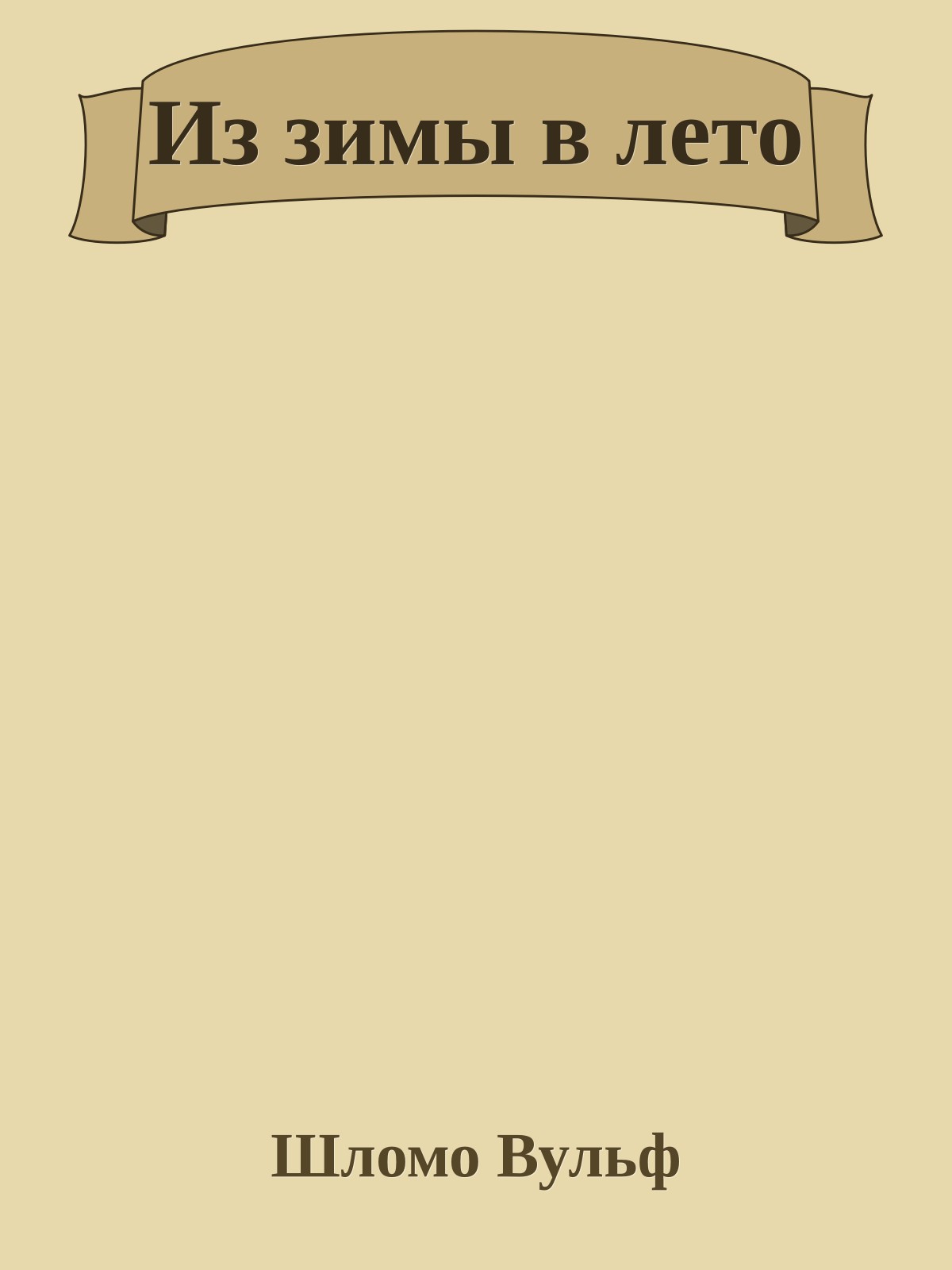 Из зимы в лето